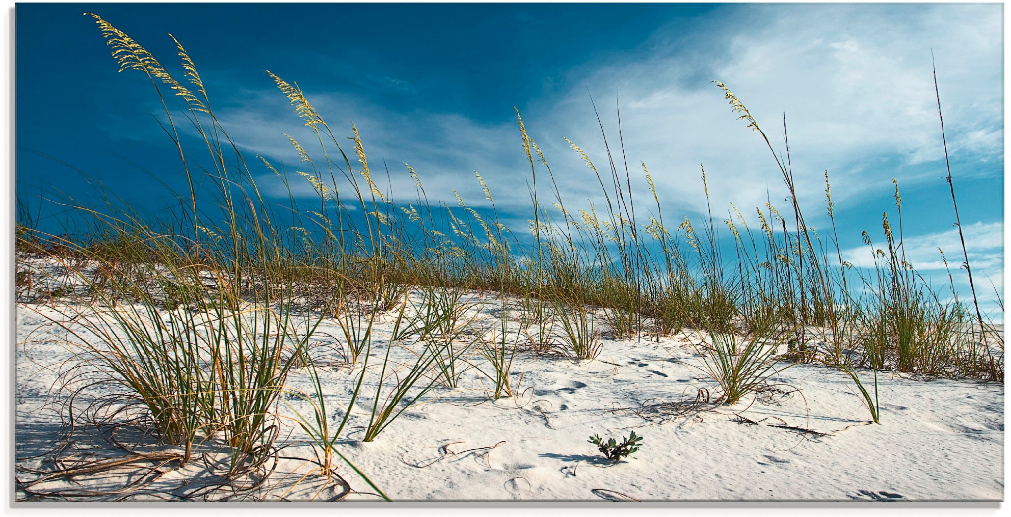 Image of Artland Glasbild "Sanddüne und Gräser" Strand 1 Stk. tlg. in verschiedenen Grössen