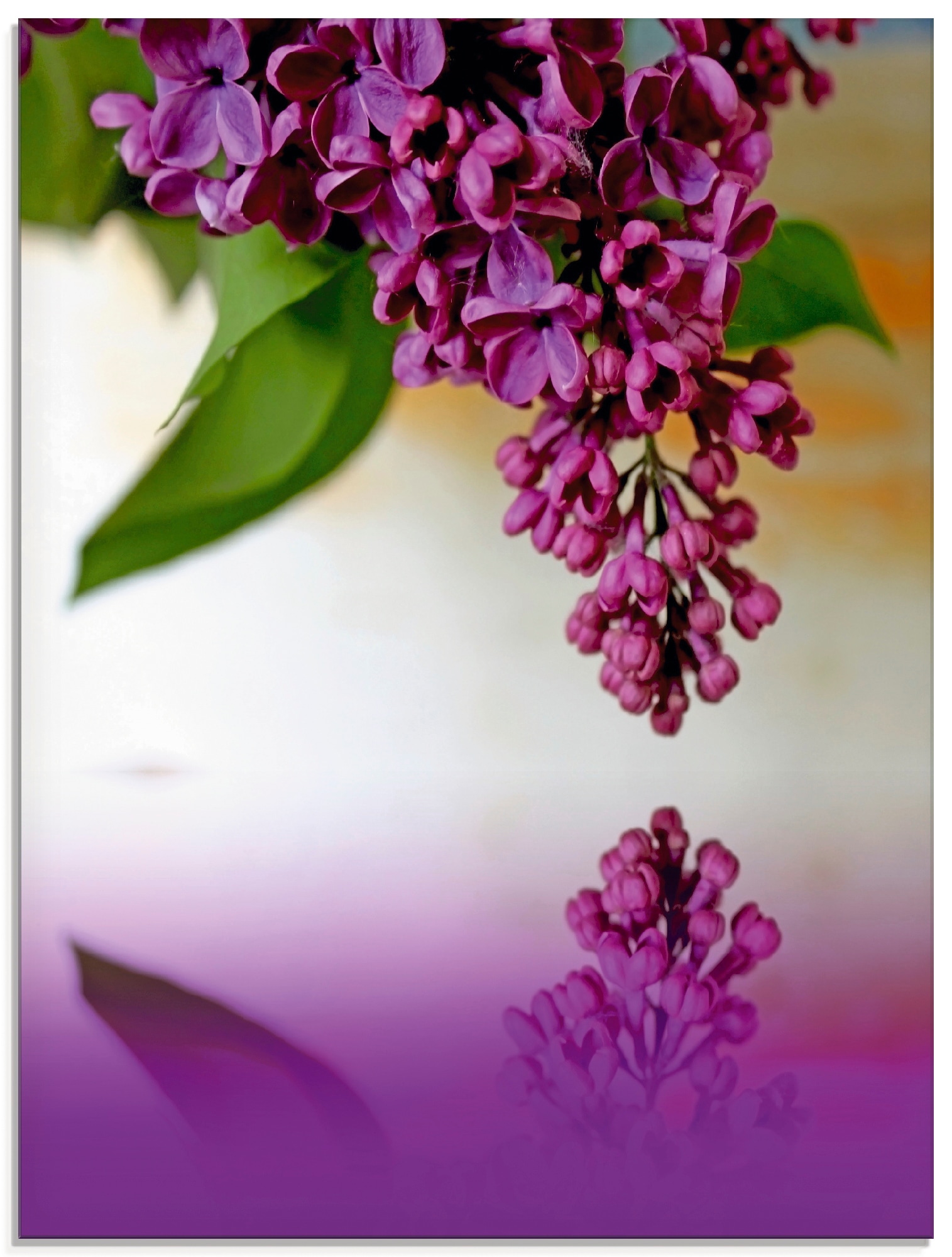 Image of Artland Glasbild "Flieder" Blumen 1 Stk. tlg. in verschiedenen Grössen