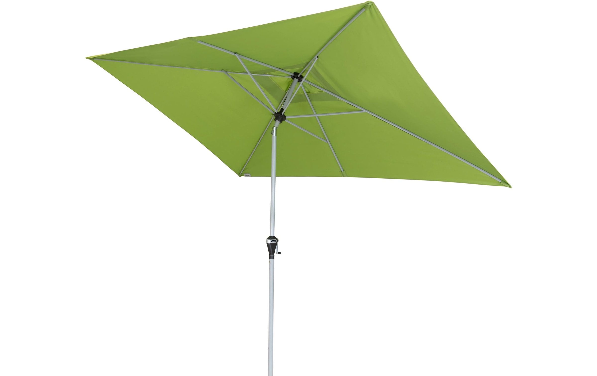   Parasol