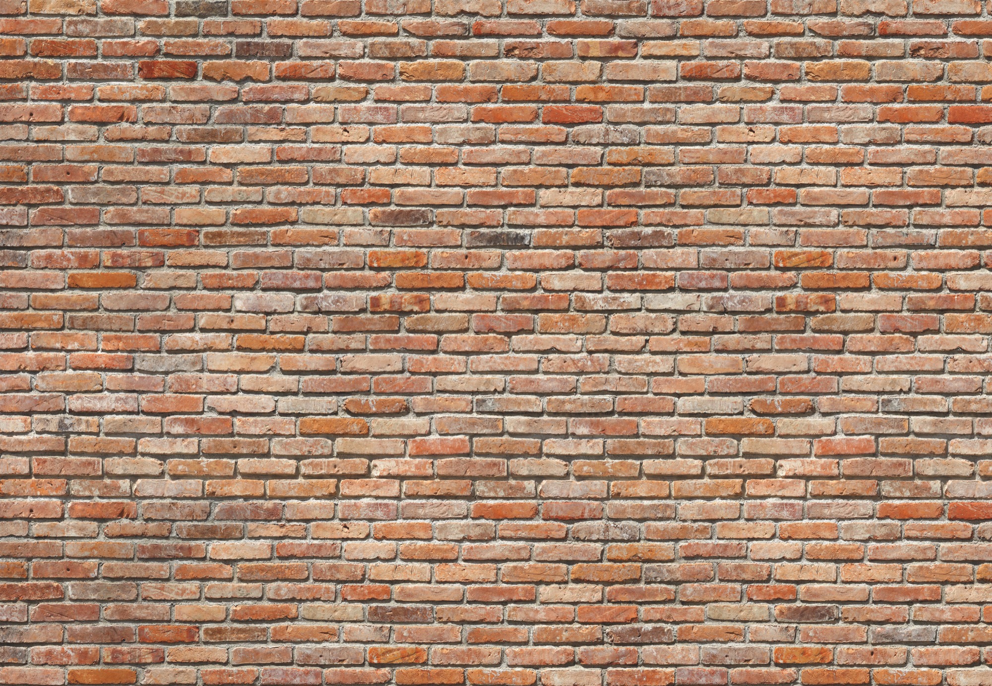 Image of Komar Fototapete "Backstein - Grösse 368 x 254 cm" bedruckt glatt Wohnzimmer, Schlafzimmer