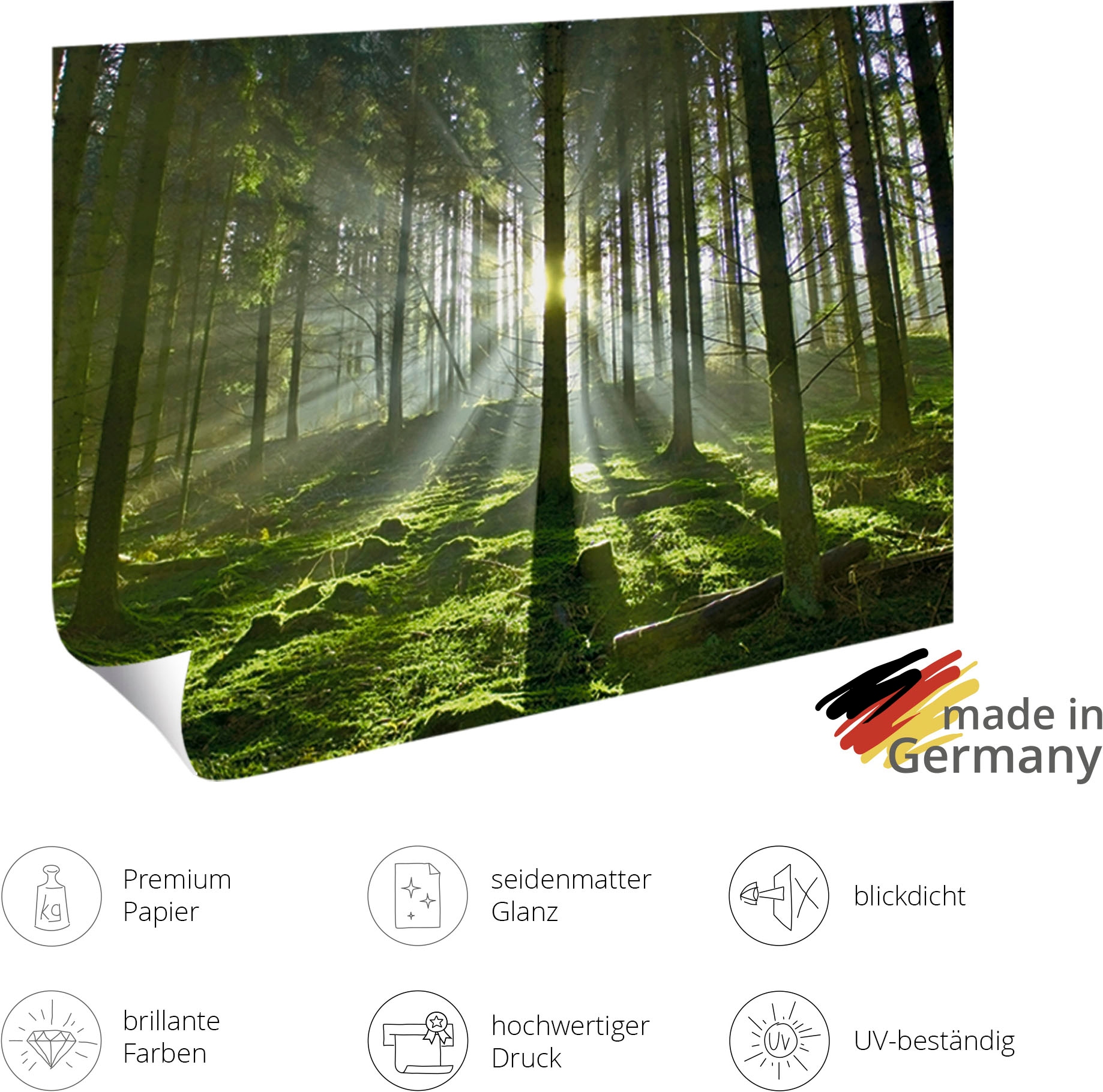 GOODproduct Wandbild »Hund am Meer« Hundebilder 1 Stk. tlg. als Poster oder Leinwandbild in versch. Grössen