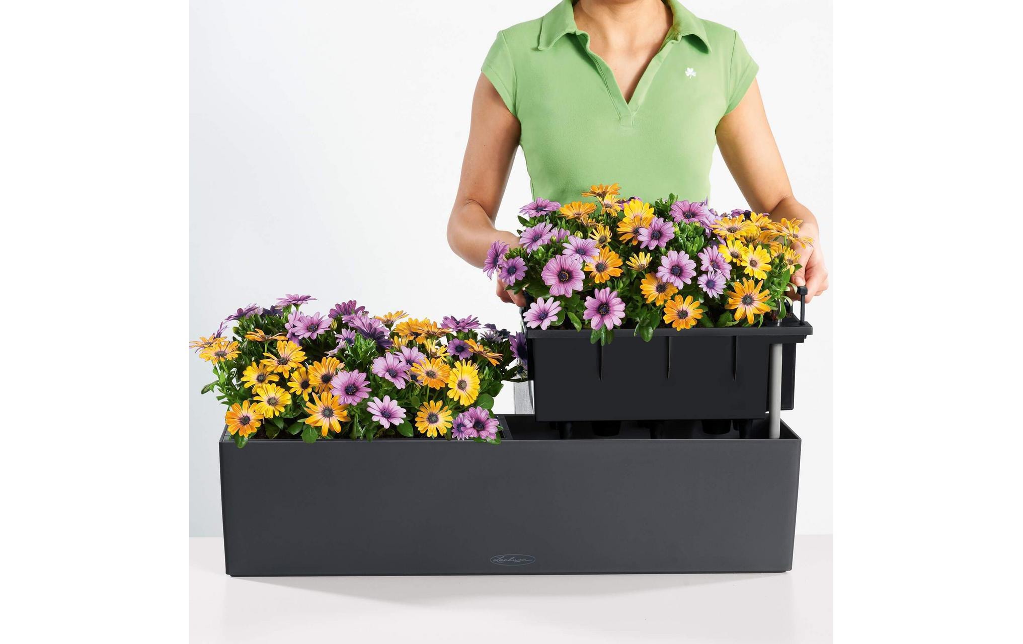   Cache-pot »Balconera Color Braun«