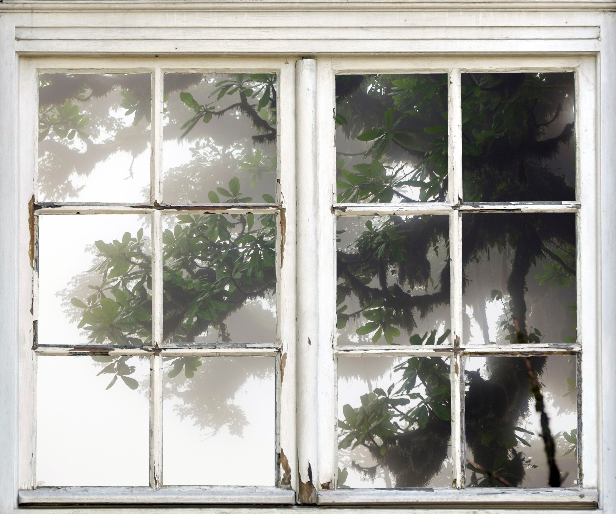 Image of queence Wandsticker "Baum im Nebel" Wandsticker, Wandbild, selbstklebend, 3D, Fenster
