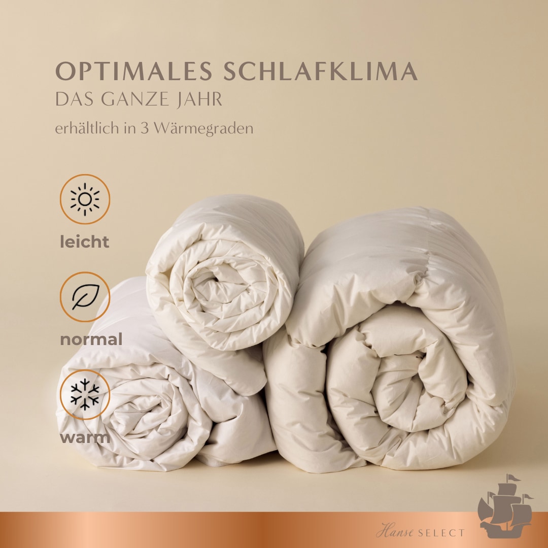 Hanse mit Kogge Couette microfibre »Hanse Select federfrei, Luxushotel, Ganzjahresdecke, Made in Germany« normal Füllung 100% hochwertige 6D-Hohlfaser 1 cuis tlg. couette de haute qualité 135x200 cm, 155x220 cm & autres tailles