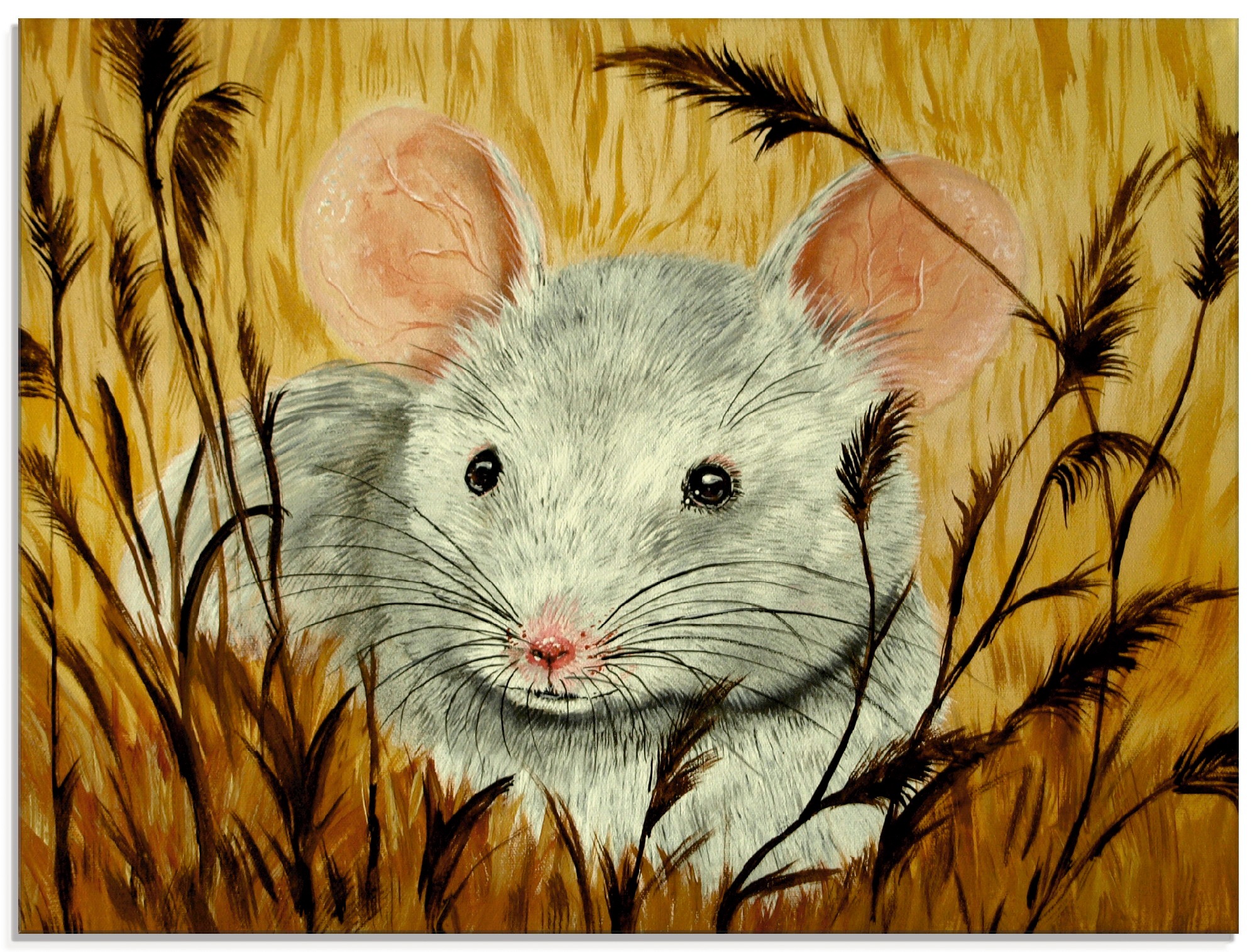 Artland Glasbild »Maus«, Haustiere, (1 kaufen günstig in Grössen verschiedenen St.)