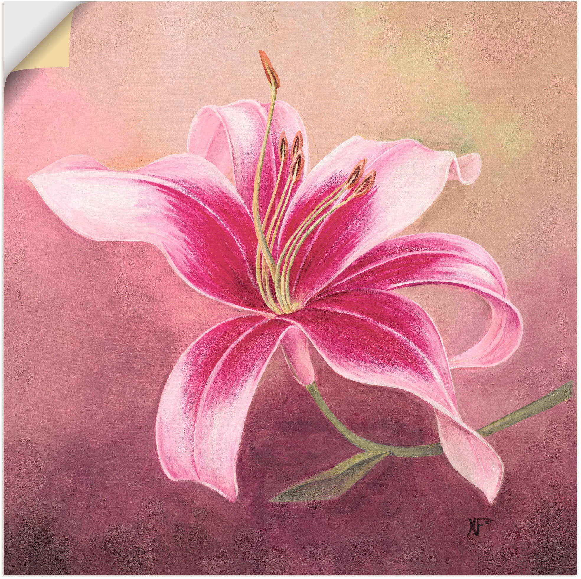 Image of Artland Wandbild »Frühe Lilie«, Blumen, (1 St.), in vielen Grössen & Produktarten - Alubild / Outdoorbild für den Aussenbereich, Leinwandbild, Poster, Wandaufkleber / Wandtattoo auch für Badezimmer geeignet bei Ackermann Versand Schweiz