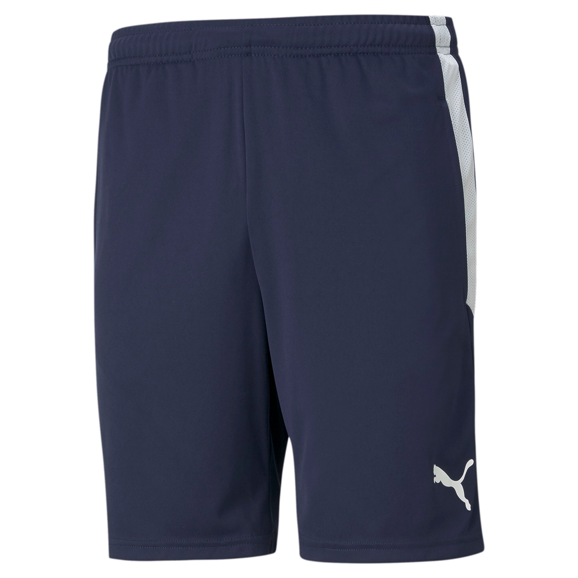 Image of PUMA Trainingsshorts "TEAMLIGA TRAINING SHORTS" für Fussball und sportliche Aktivitäten, mit Reissverschlusstasche