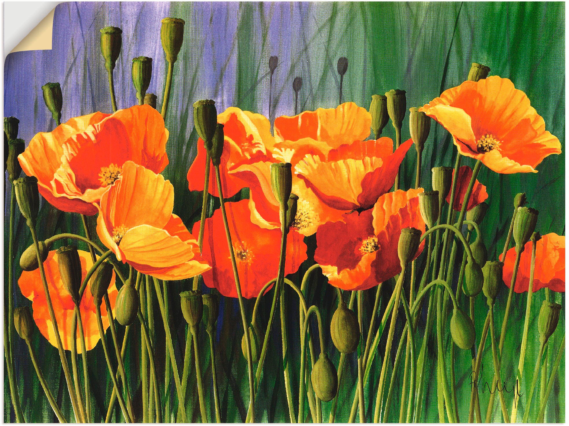 Artland Wandbild »Mohnblumen I«, Poster jetzt Wandaufkleber in kaufen Grössen (1 St.), als Blumen, oder versch. Leinwandbild