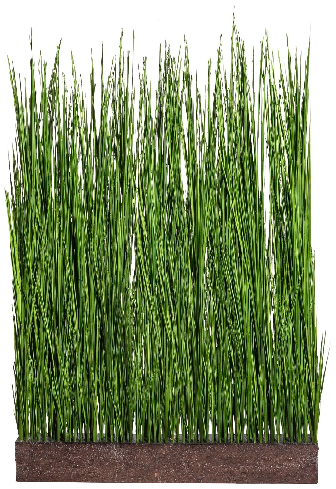 Image of Kunstpflanze »Gras Raumteiler«, H: 150 cm bei Ackermann Versand Schweiz