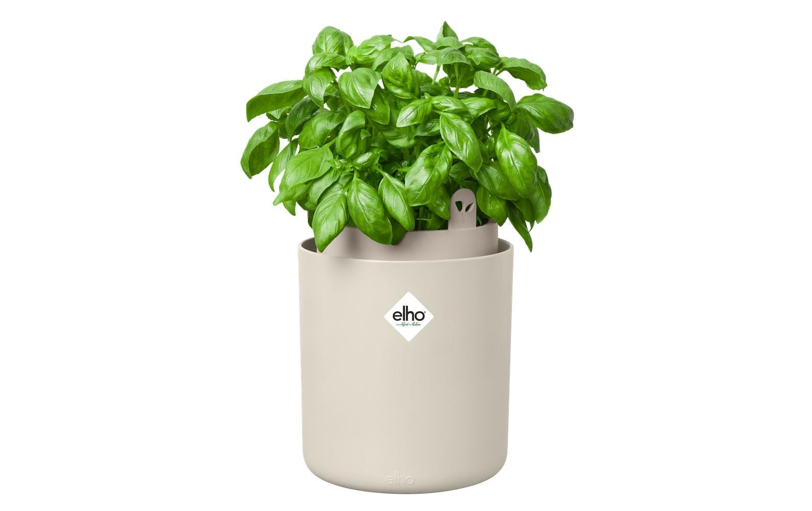 Elho Pot à herbes »Bouncy Basil 17 cm«