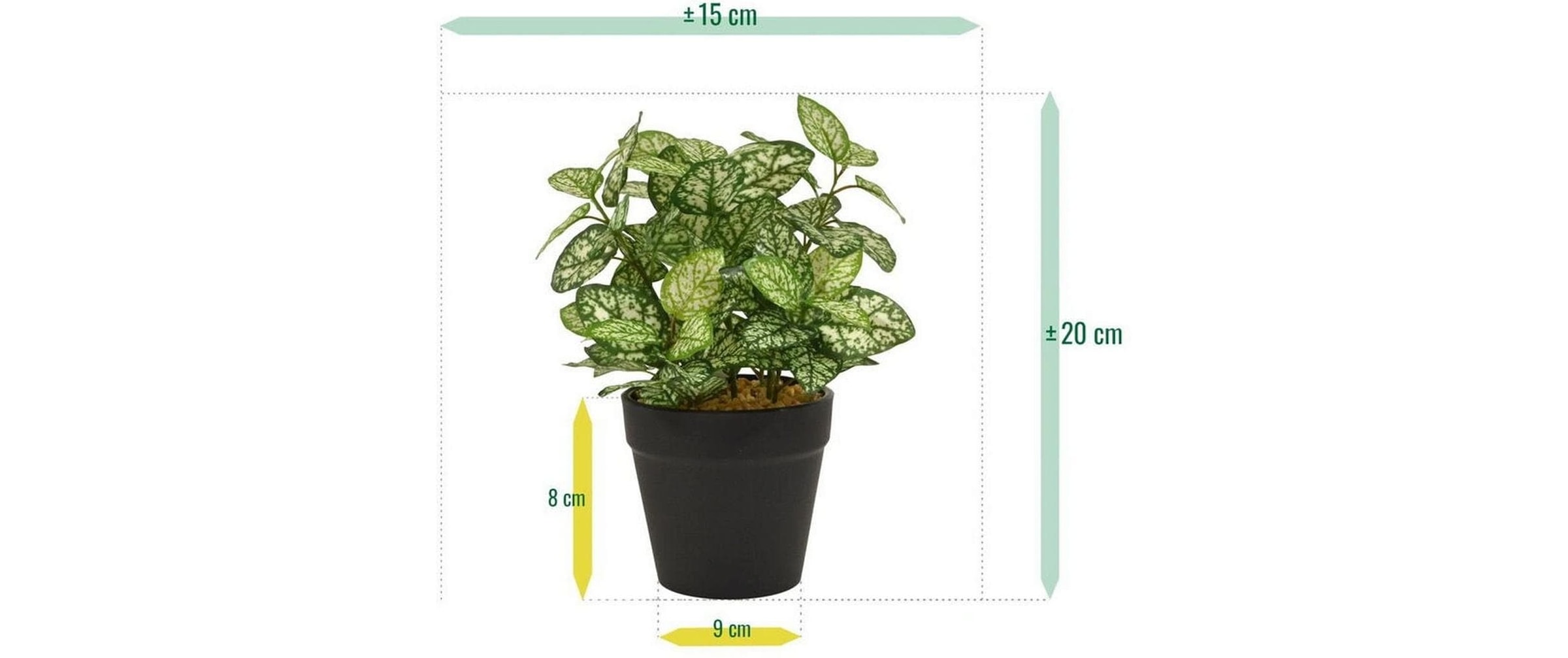 Botanic-Haus Kunstblume »Hypoestes 18 cm«