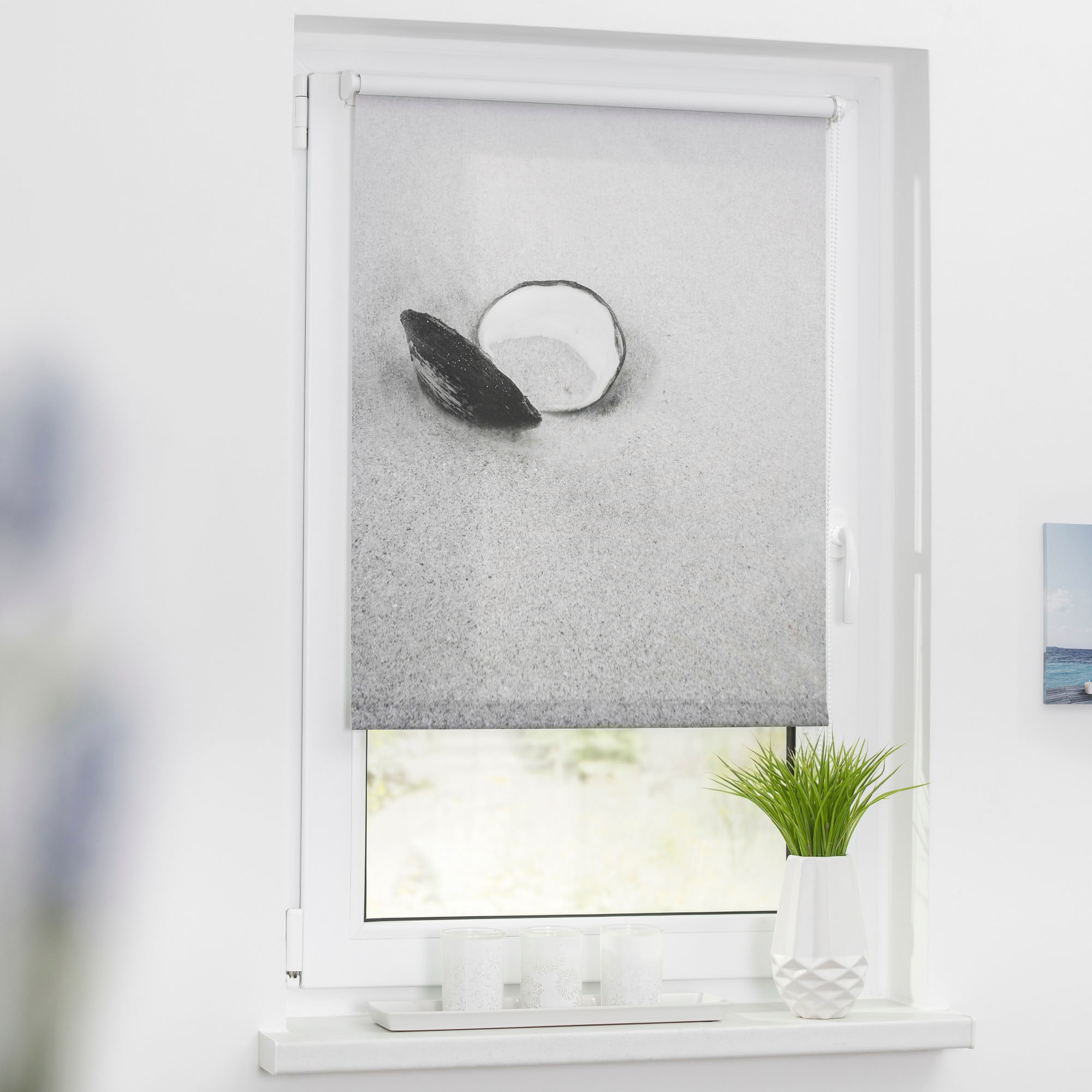 LICHTBLICK ORIGINAL Seitenzugrollo »Klemmfix Motiv Muschel« Lichtschutz ohne Bohren freihängend bedruckt