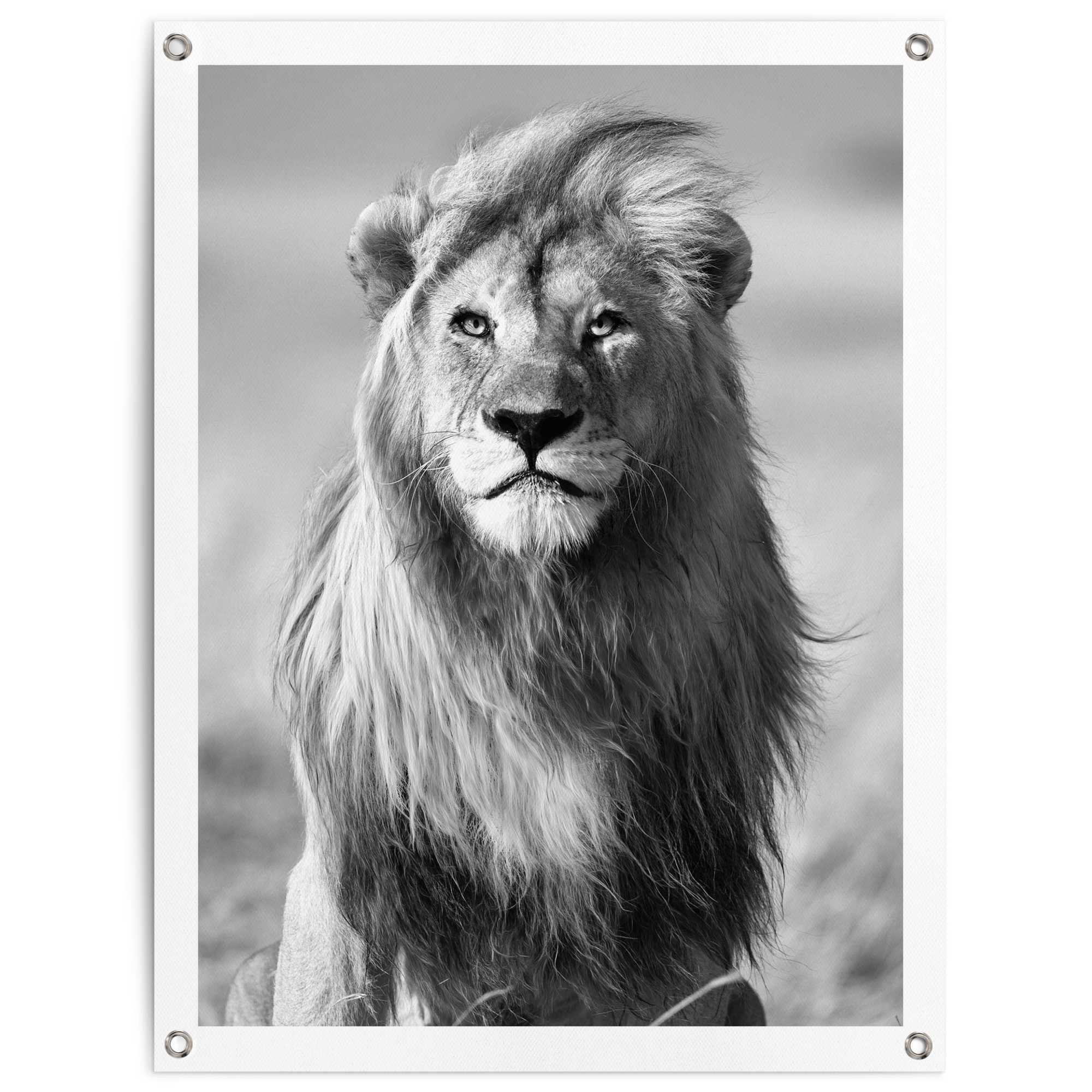 Image of Reinders Poster "Löwe" Outdoor für Garten oder Balkon