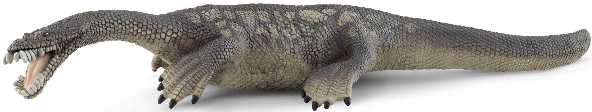 Image of Schleich® Spielfigur »Dinosaurs, Nothosaurus (15031)« bei Ackermann Versand Schweiz