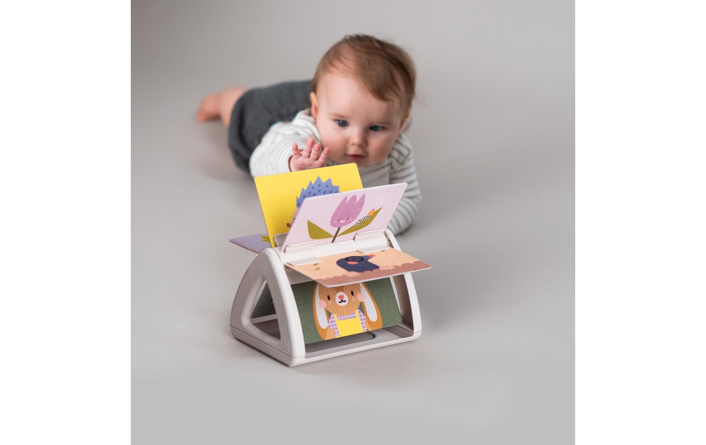 TAF TOYS Jouets éducatifs »Babybuch 0M+«