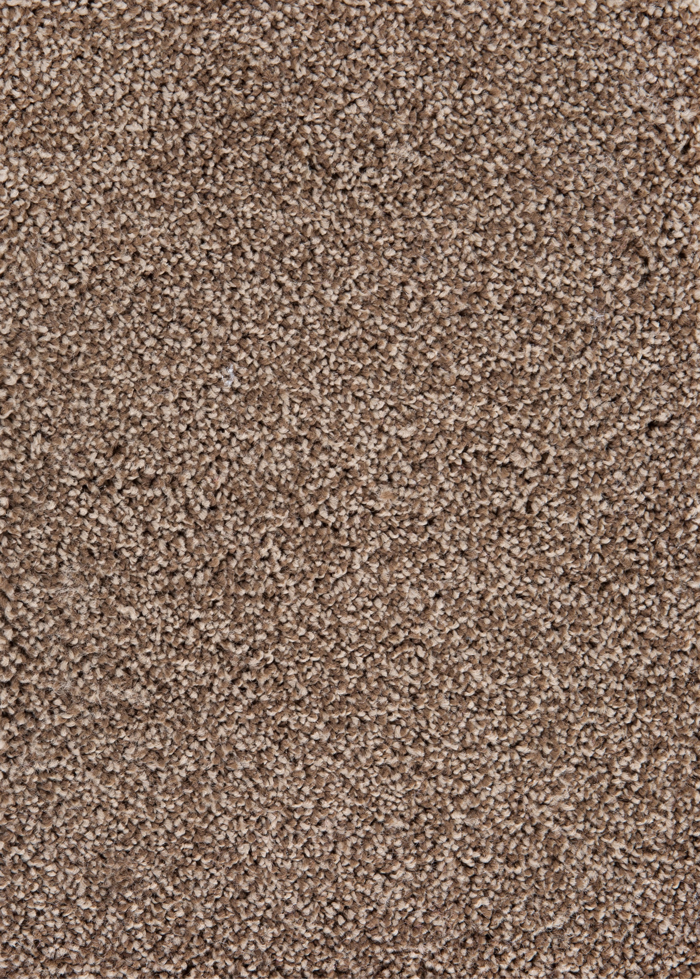 Image of Andiamo Teppichboden »Anne braun«, rechteckig, 10 mm Höhe, Meterware, Breite 400 cm, Wohnzimmer bei Ackermann Versand Schweiz