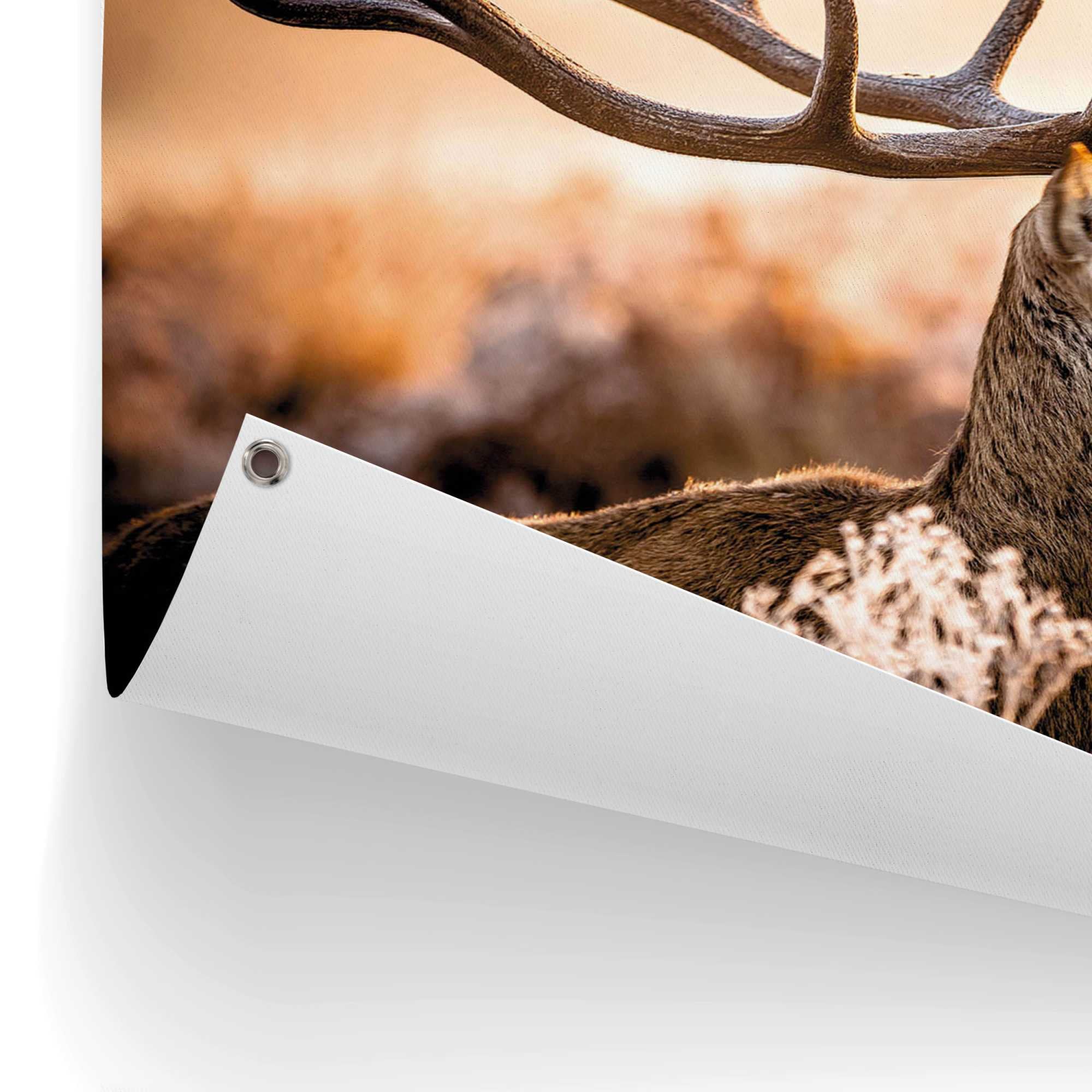 Reinders! Poster »Hirsch« Outdoor für Garten oder Balkon