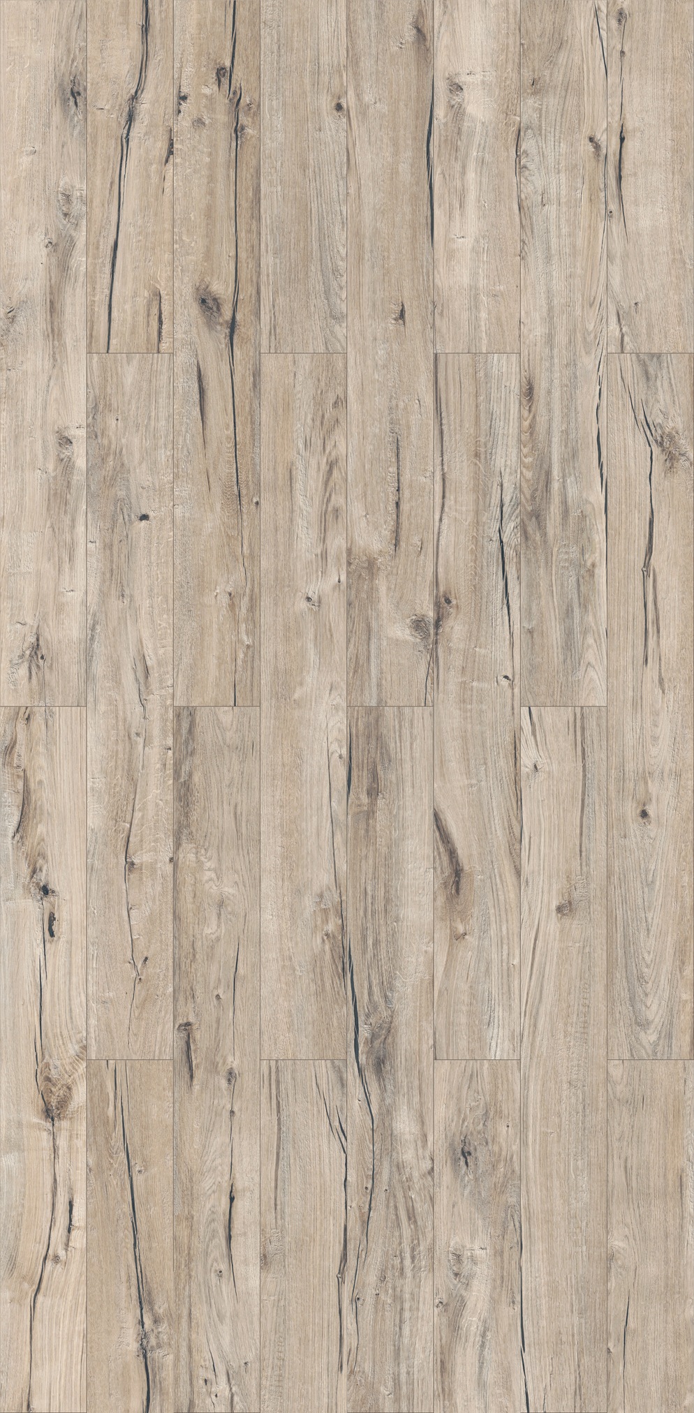 Image of PARADOR Laminat »Trendtime 1 - Eiche Century geseift«, (Packung), spezielle Trägerplatte, 1285 x 158 mm, Stärke: 8 mm bei Ackermann Versand Schweiz