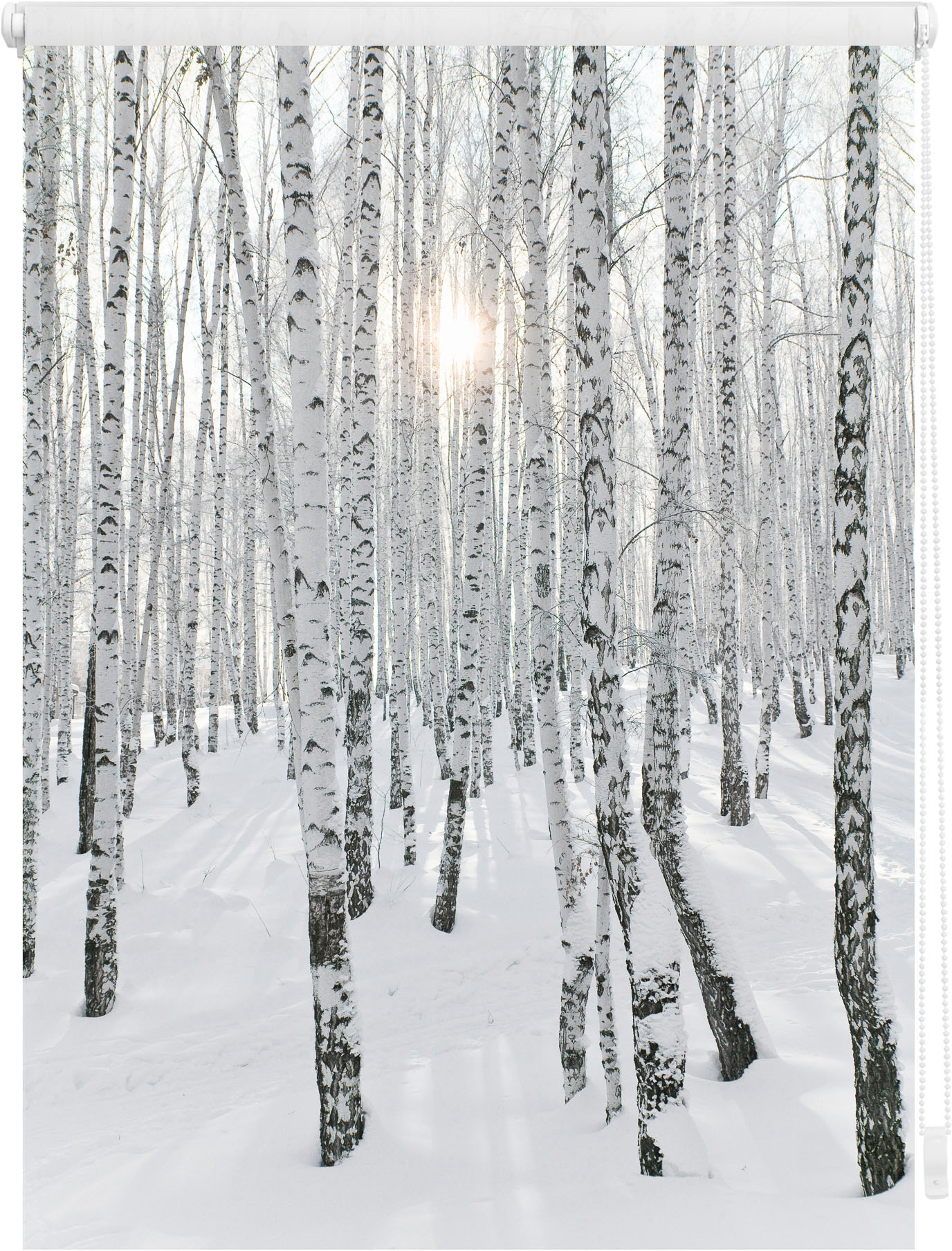 Image of LICHTBLICK ORIGINAL Seitenzugrollo "Klemmfix Motiv Birkenwald" Lichtschutz ohne Bohren freihängend bedruckt