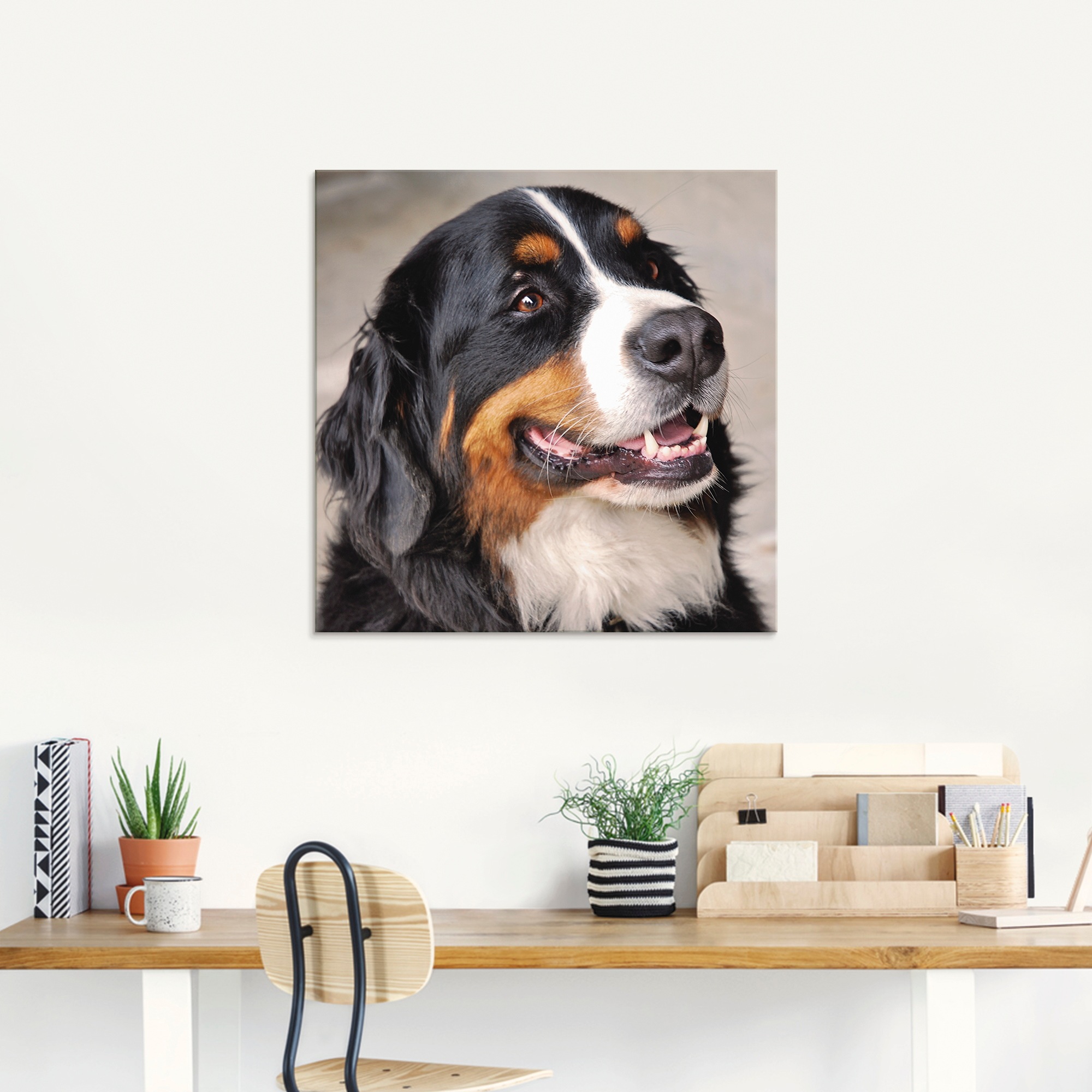 Artland Glasbild "Berner Sennenhund" Haustiere 1 Stk. tlg. in verschiedenen Größen