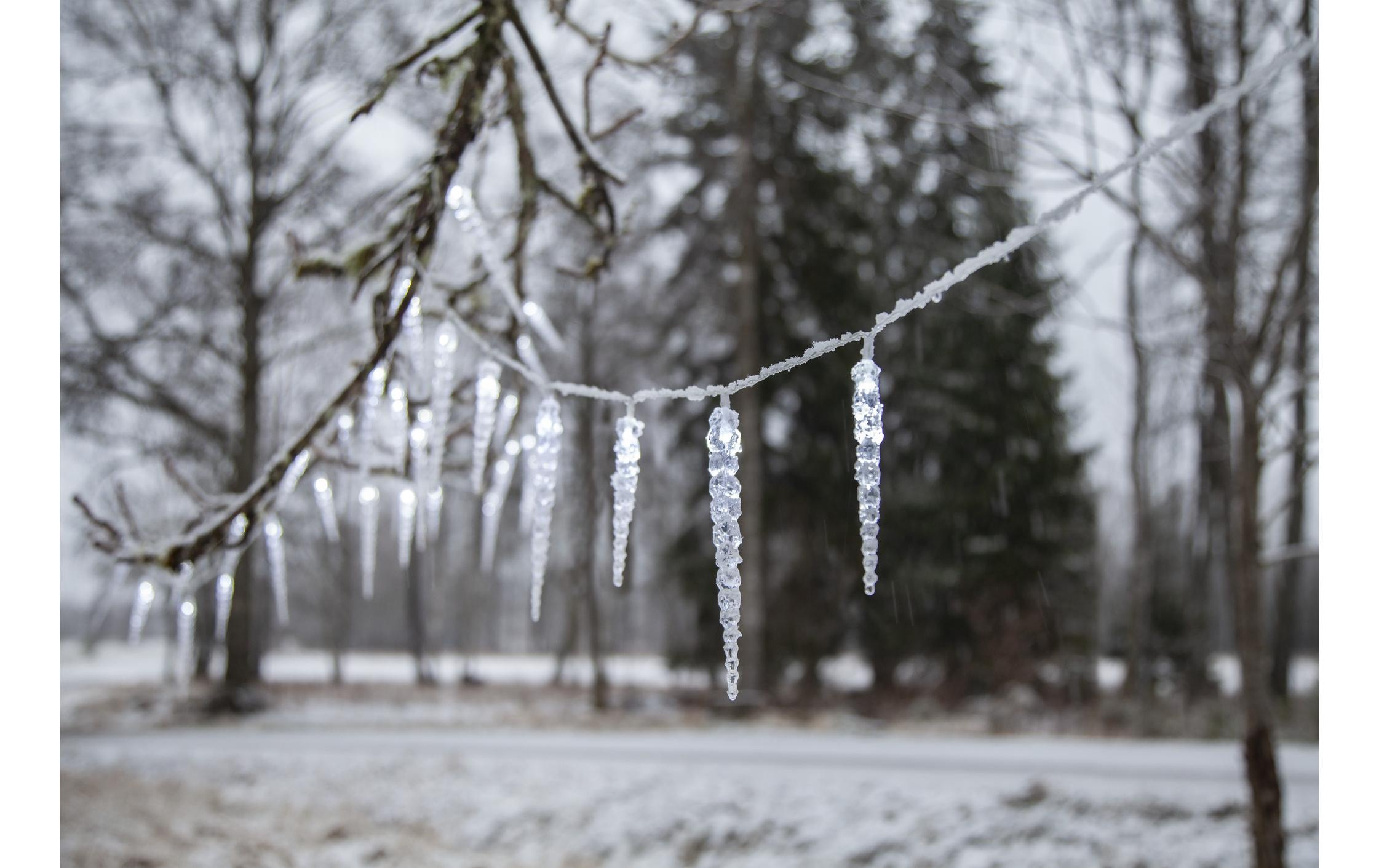 Parforce Traditional Hunting Rideau lumineux LED »Trading LED-Lichtervorhang Gel« 40 cuis-flammig