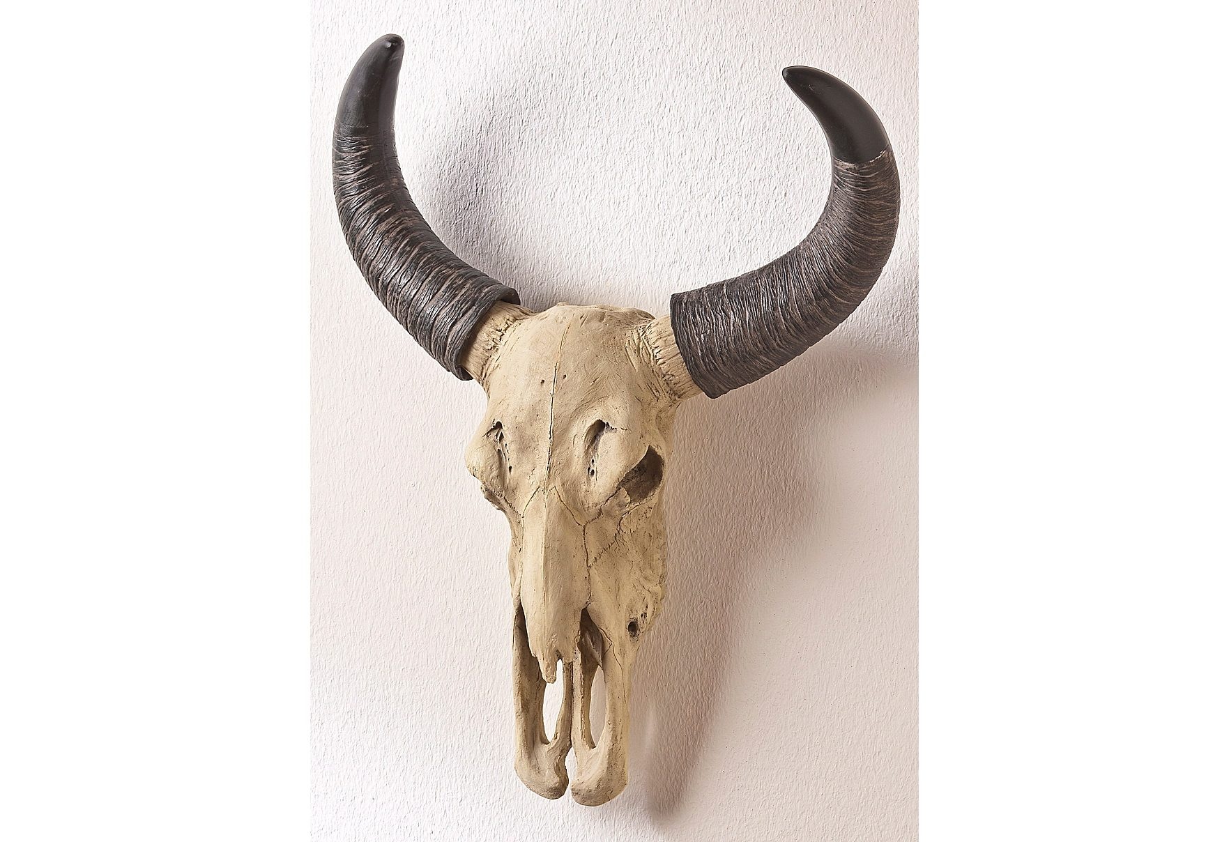 Image of HOFMANN LIVING AND MORE Dekogeweih »Büffelschädel« bei Ackermann Versand Schweiz