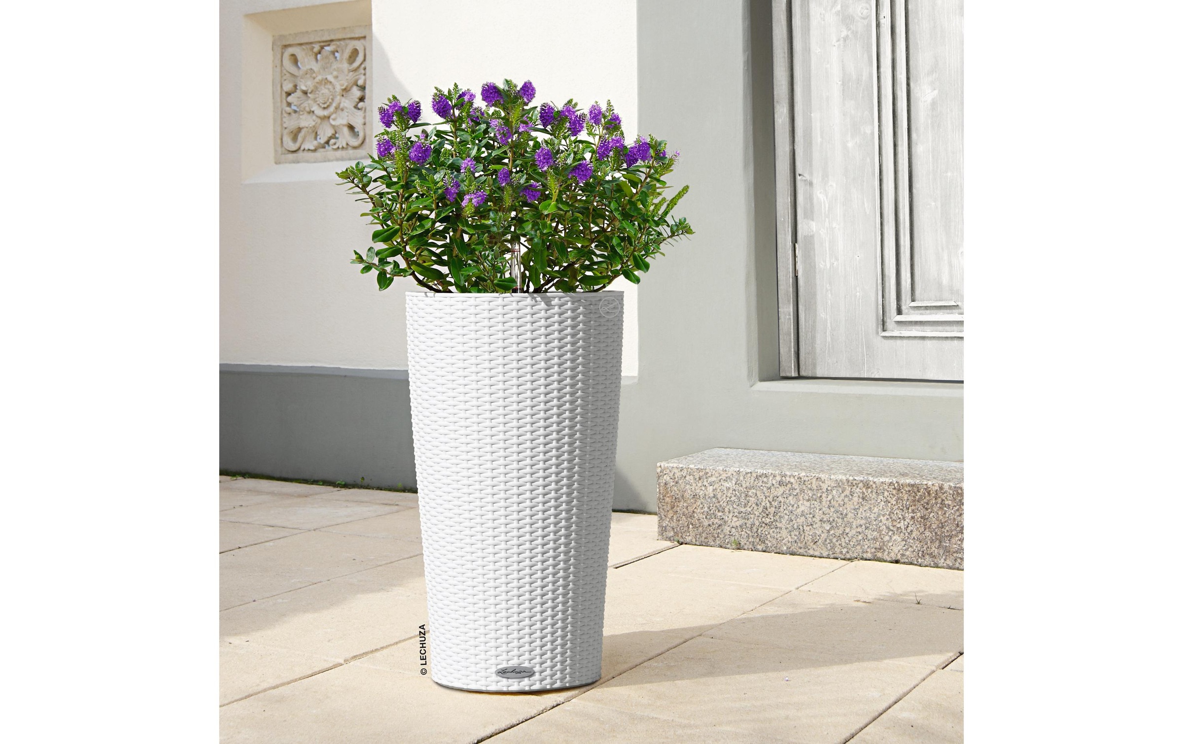 Image of Blumentopf "Lechuza CILINDRO cottage 23"