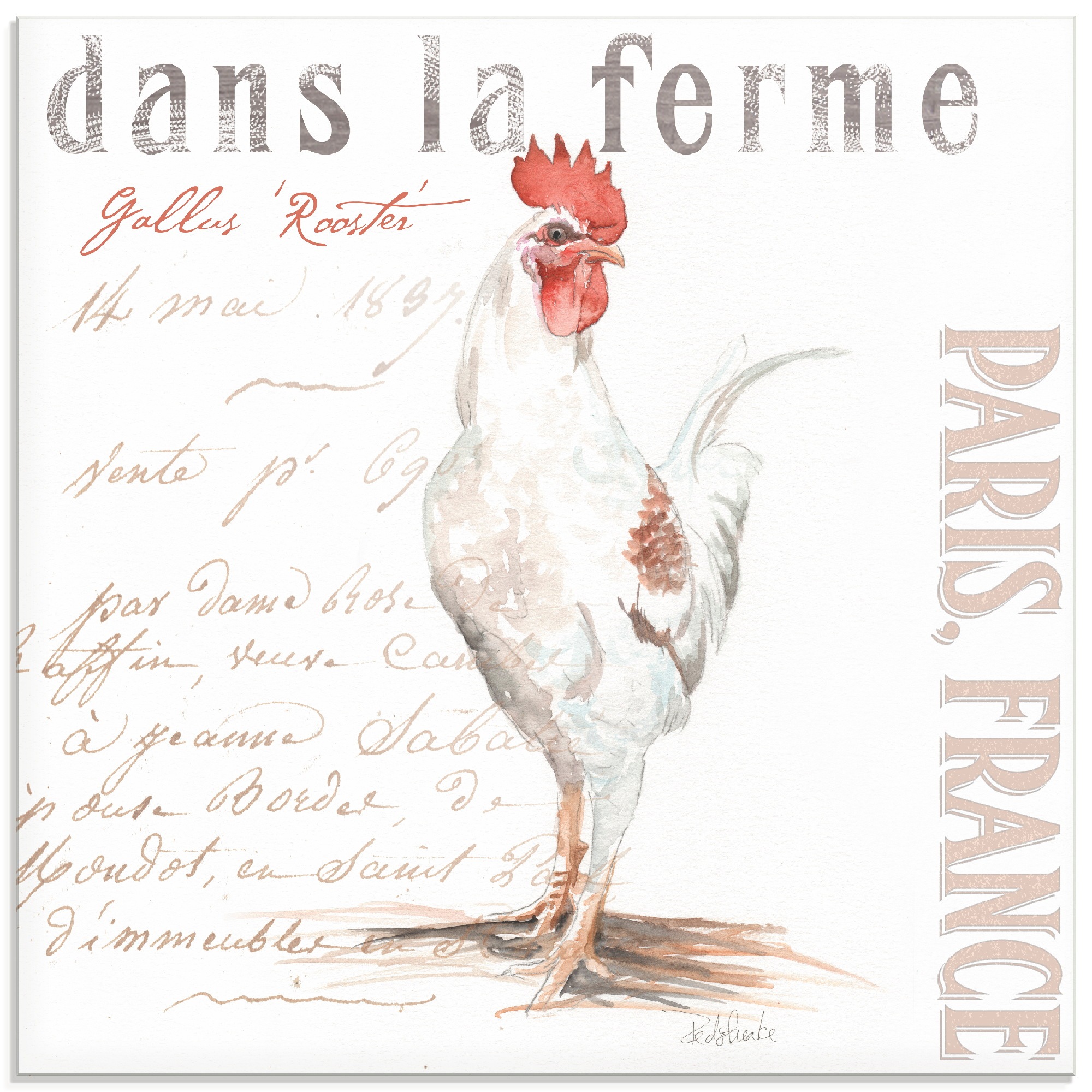 Image of Artland Glasbild »Die Farm I«, Haustiere, (1 St.) bei Ackermann Versand Schweiz