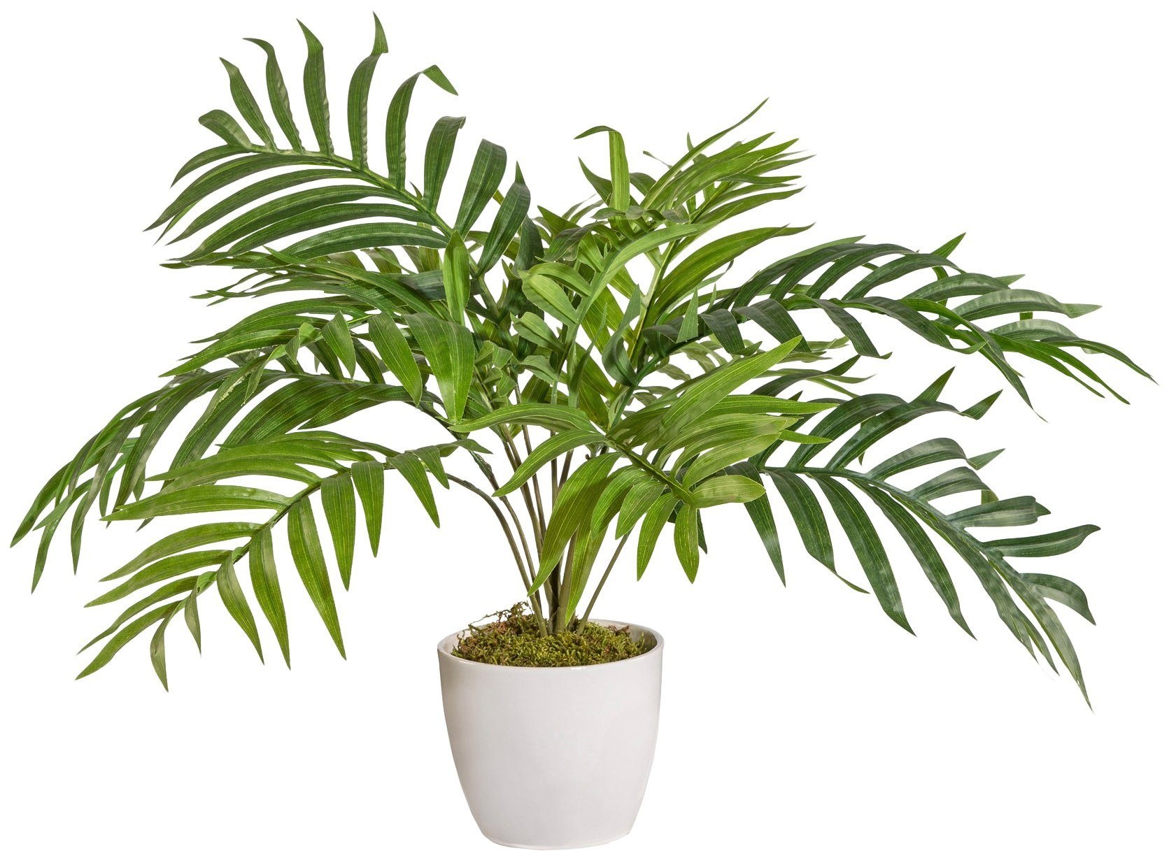 Image of Creativ green Kunstpalme »Arecapalme«, (1 St.), im Keramiktopf bei Ackermann Versand Schweiz