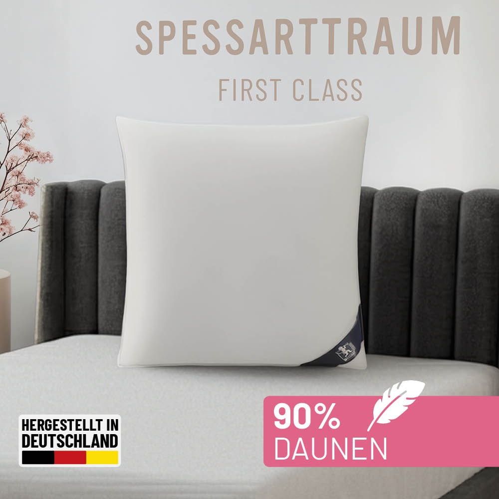 Image of SPESSARTTRAUM Daunenkissen "FIRST CLASS, Kopfkissen 1-tlg. oder 2-tlg. 40x80 oder 80x80 cm" Füllung: 90% Daunen, 10%Federn 1 Stk. tlg. hergestellt in Deutschland, allergikerfreundlich, im Set günstiger
