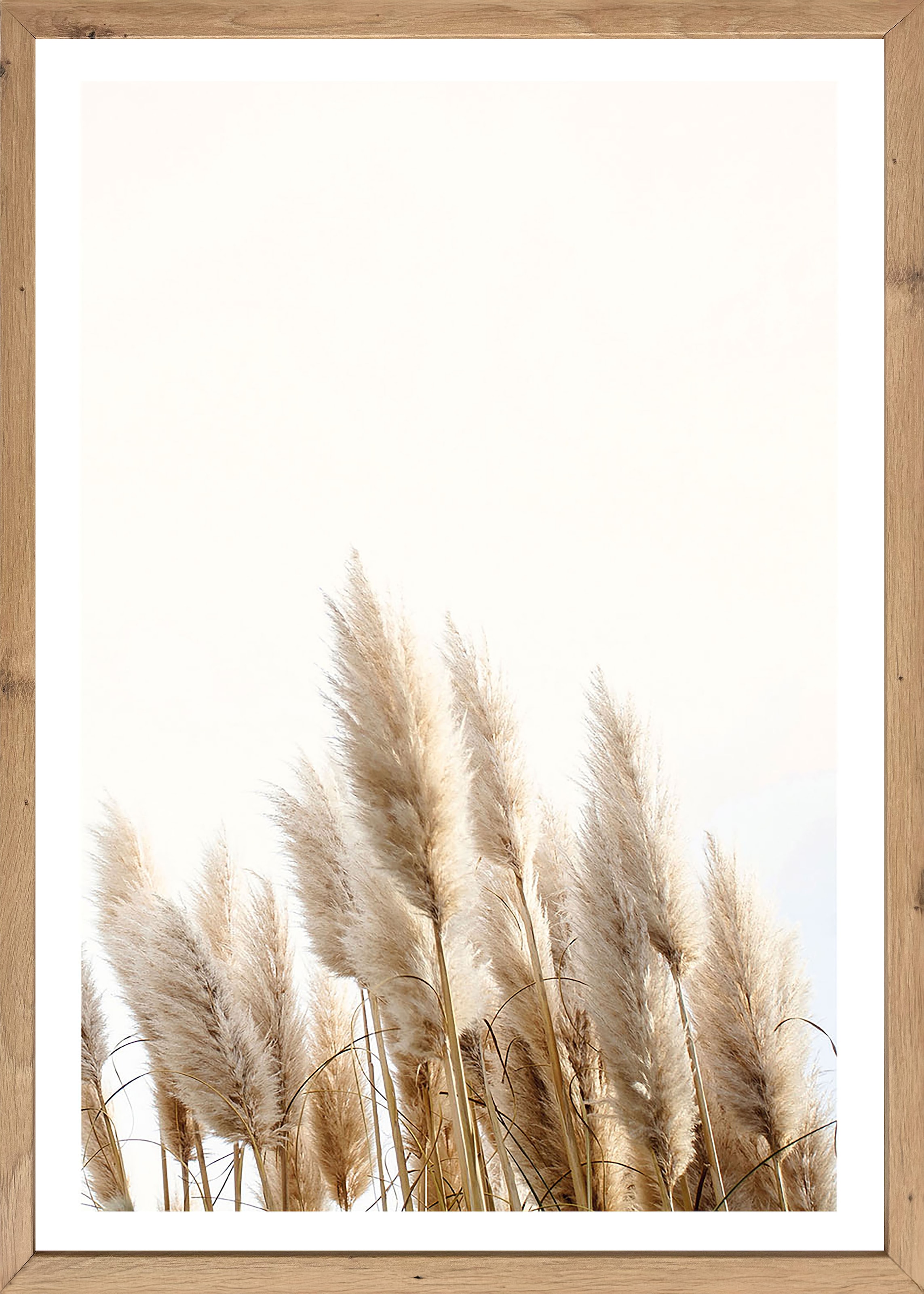 Image of Bönninghoff Bild mit Rahmen "Wandbild gerahmt GETREIDE HALME 50x70 cm – Helles Naturmotiv Scandi" Gräser Natur Pflanzen Pflanzenbilder 1 Stk. tlg. mit dekorativem Rahmen