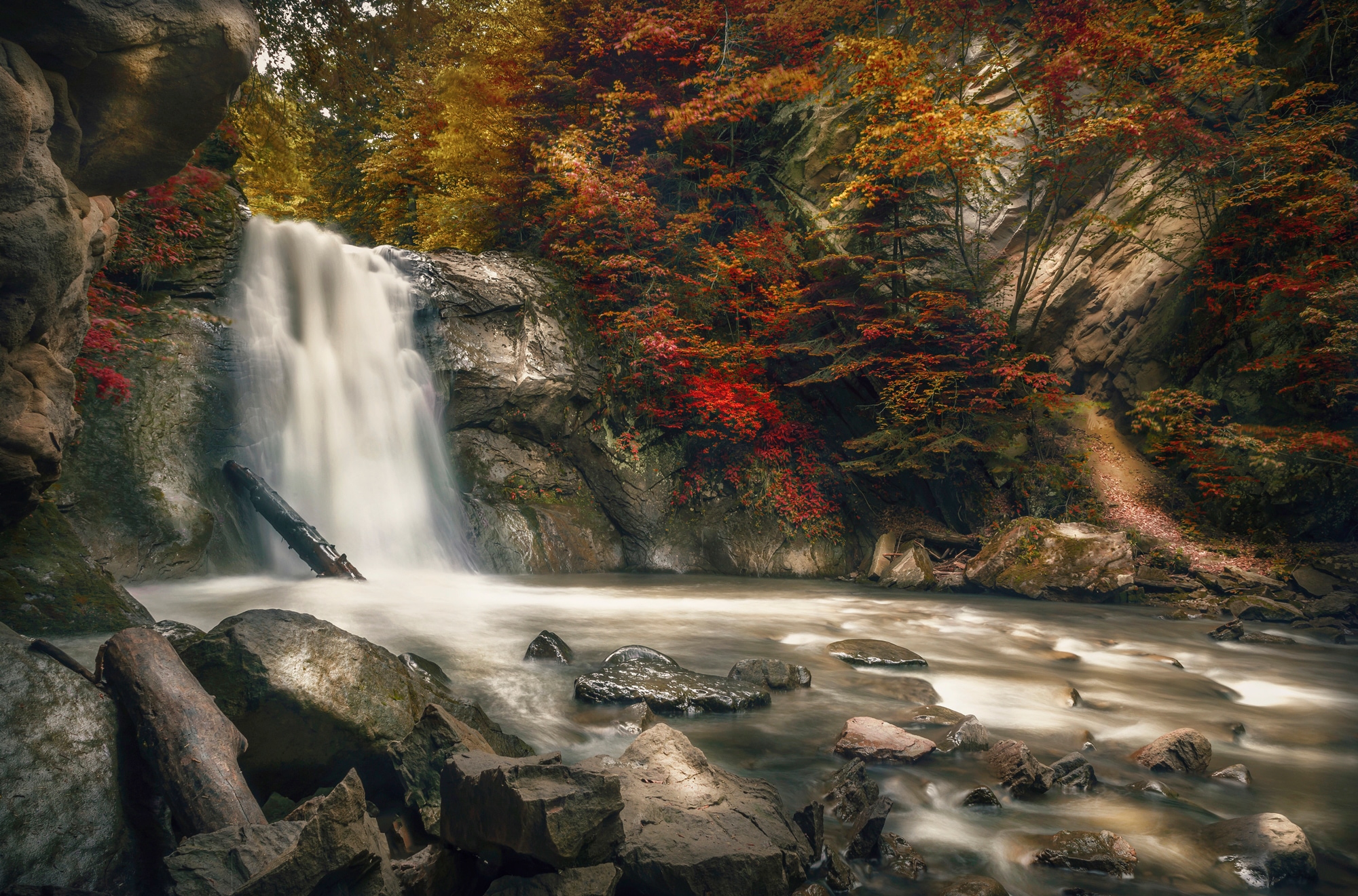 Image of Papermoon Fototapete "WASSERFALL-HERBST WALD MEER FLUSS INSEL STEINE BÄUME"