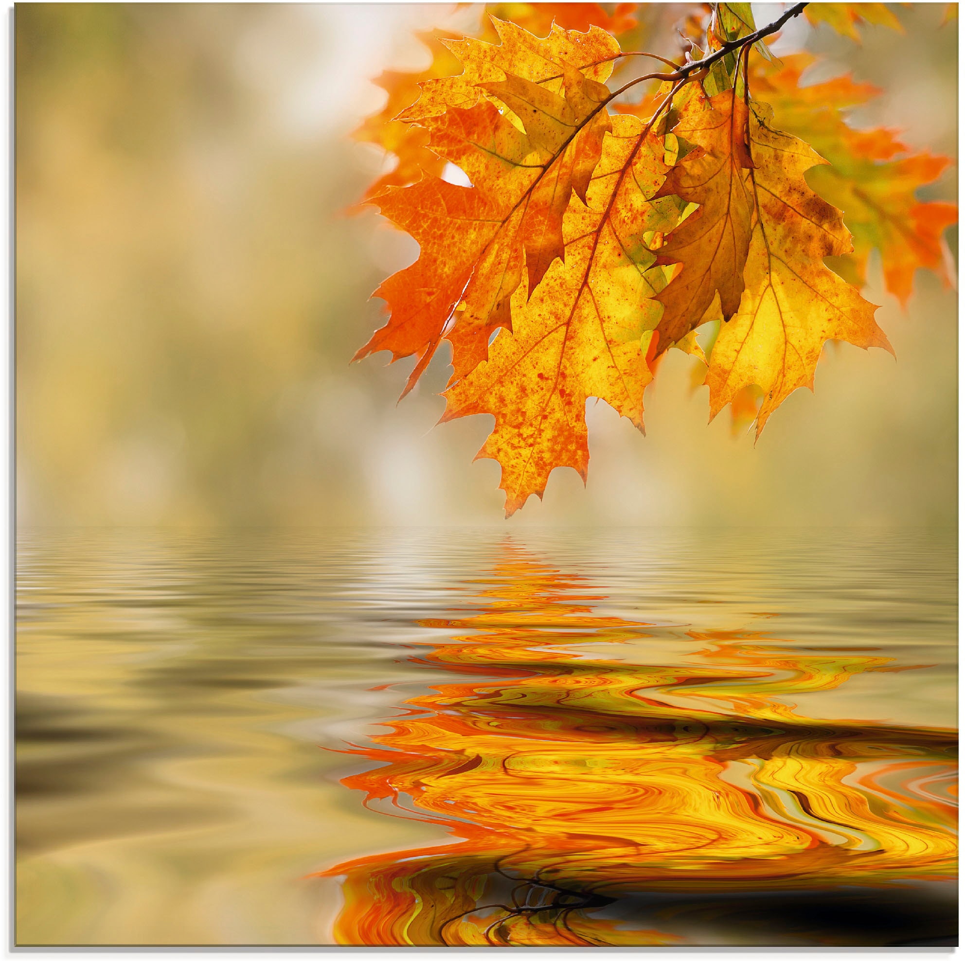 Image of Artland Glasbild "Herbstblatt" Blätter 1 Stk. tlg. in verschiedenen Grössen