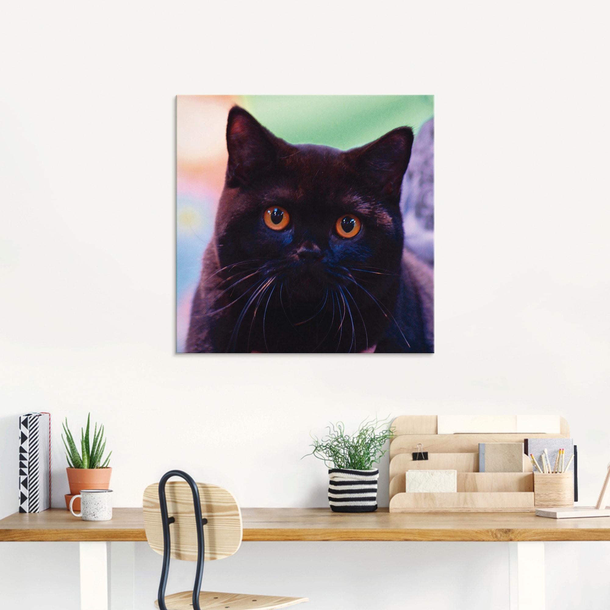 Artland Glasbild »Schwarze Britisch Kurzhaarkatze«, Haustiere, (1 St.), in verschiedenen Grössen