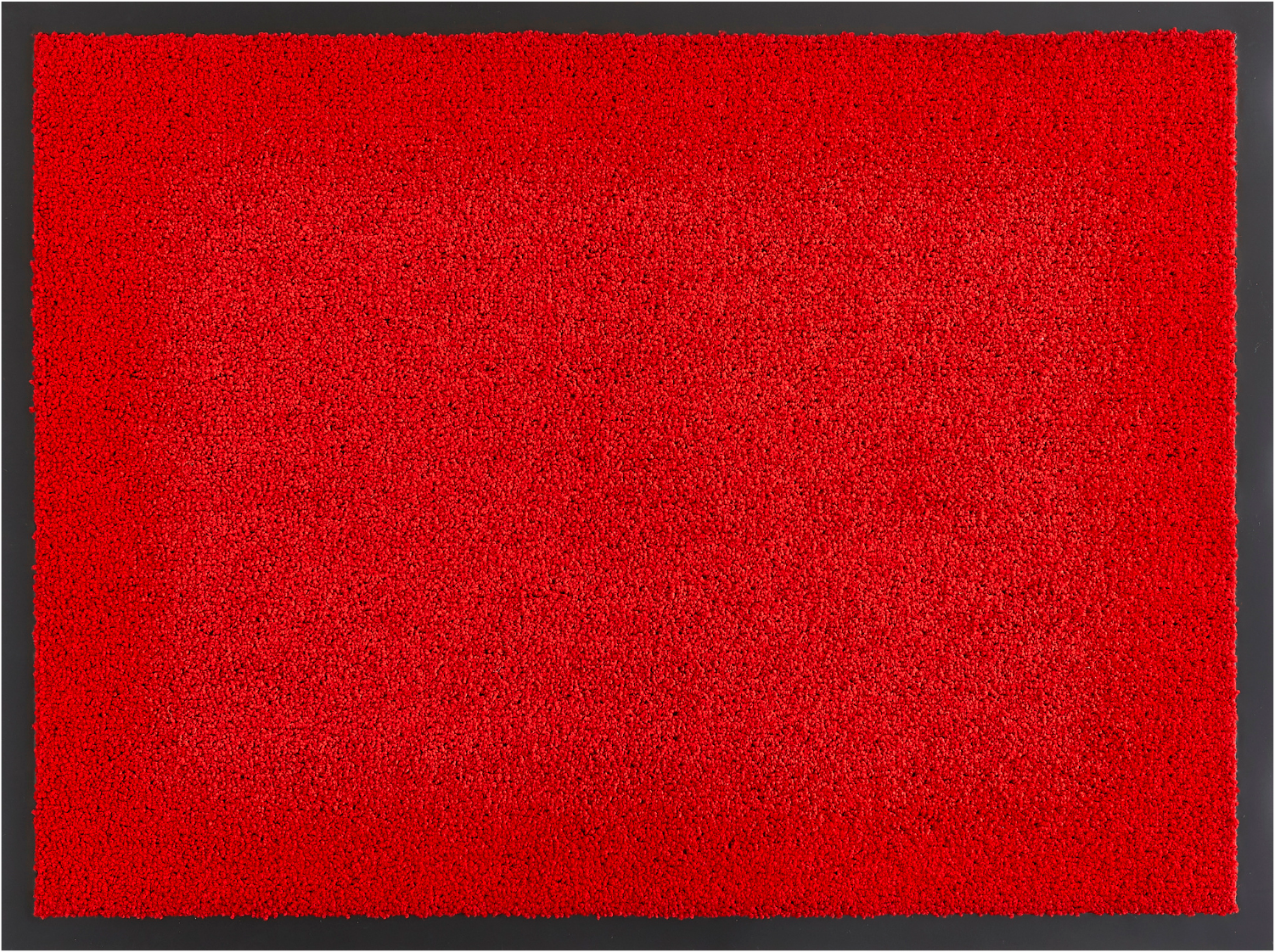 my home Fussmatte »Emil, Made in Netherlands«, rechteckig, 6 mm Höhe, Schmutzfangmatte, Uni Farben, rutschhemmend, waschbar (Handwäsche)