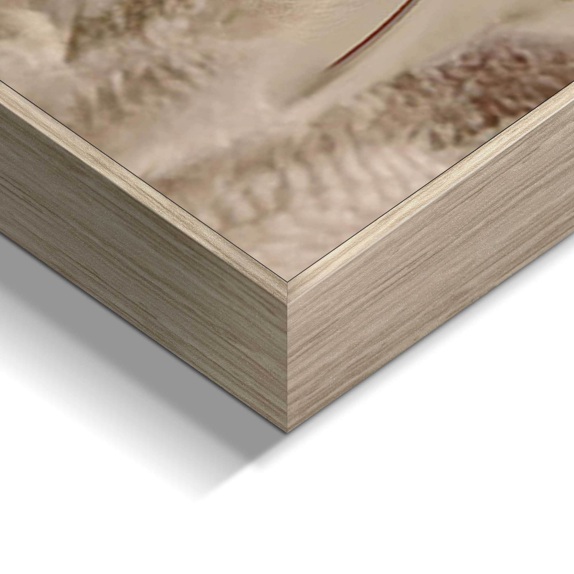 Reinders! Wandbild »Floral Highlander«