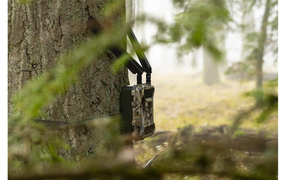 Wildkamera »Dörr Wildkamera Snapshot Cloud 4G«, Aussenbereich