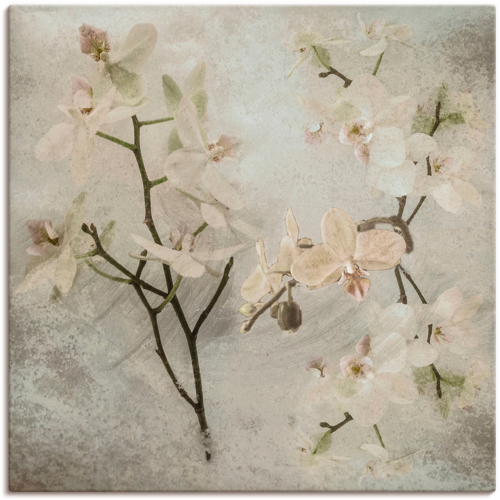 Artland Wandbild »Orchideen«, Blumen, (1 St.)