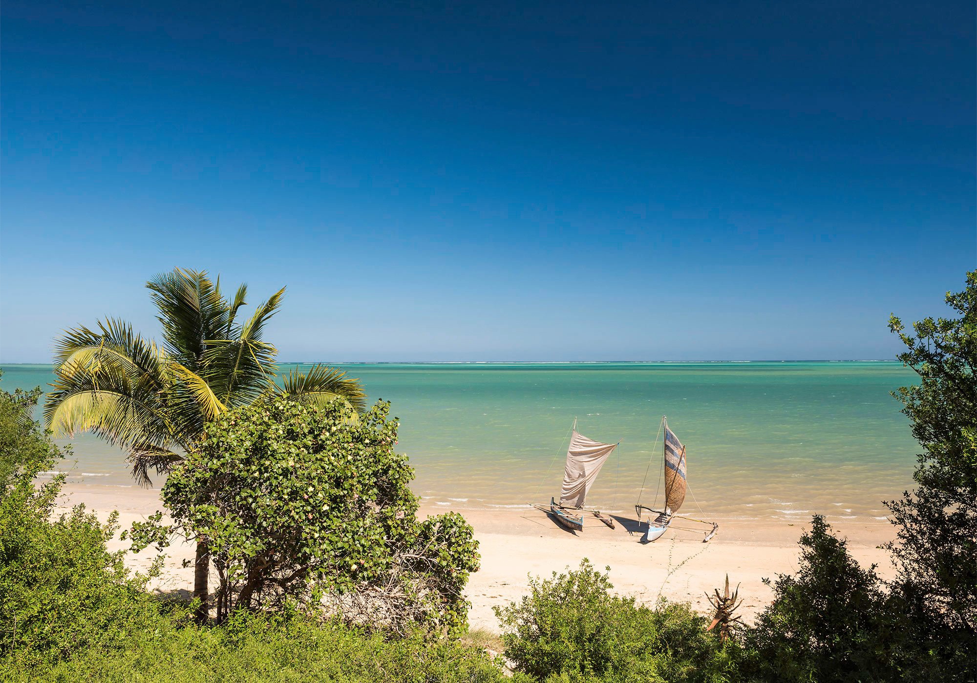 Image of Komar Fototapete »Madagascar Hideout«, bedruckt-Comic-Retro-mehrfarbig, BxH: 400x280 cm bei Ackermann Versand Schweiz