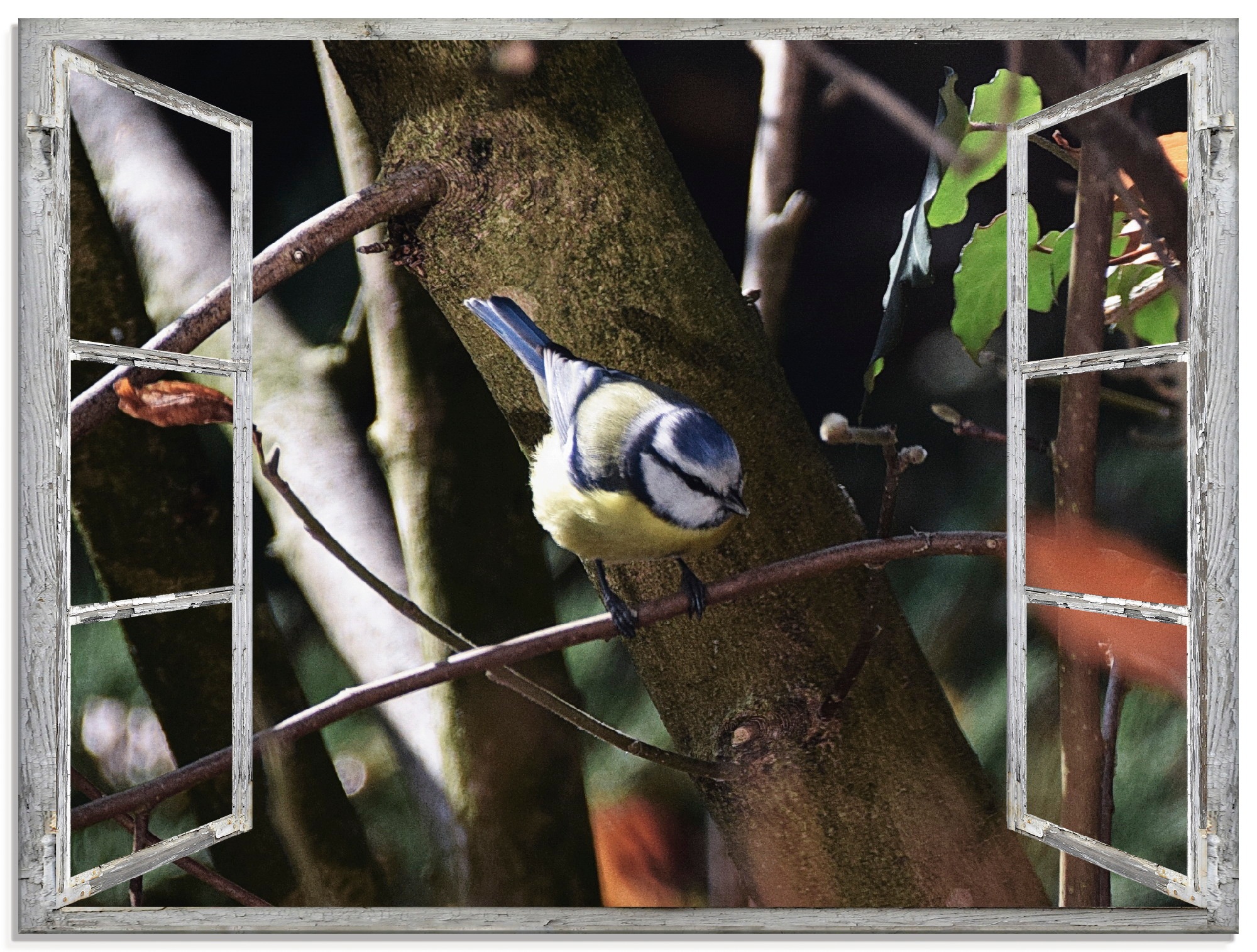 Image of Artland Glasbild »Fensterblick - Blaumeise«, Vögel, (1 St.) bei Ackermann Versand Schweiz