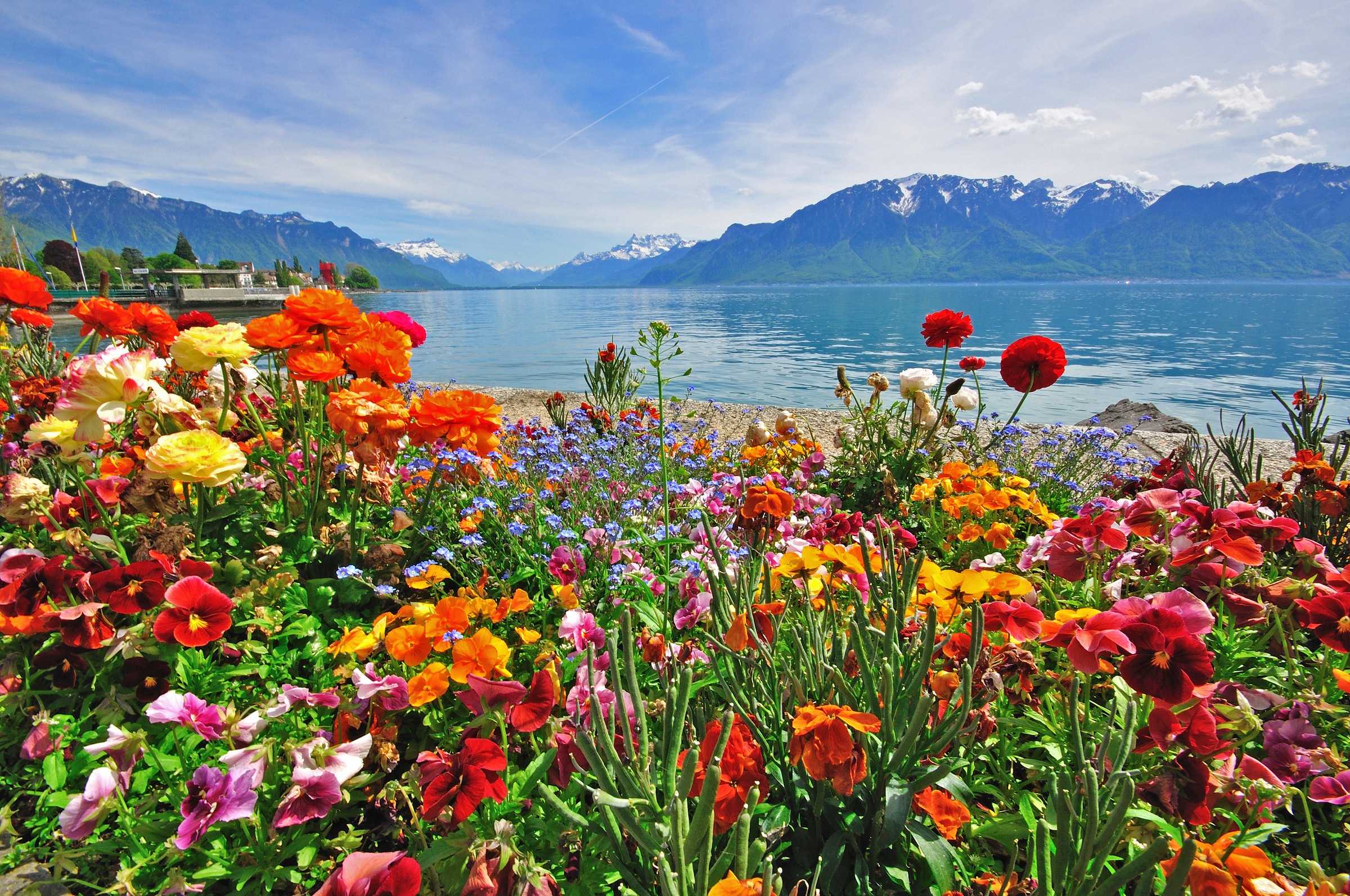 Image of Papermoon Fototapete "BLUMEN-DESIGN NATUR LANDSCHAFT GEBIRGE BERGE ALPEN SEE"