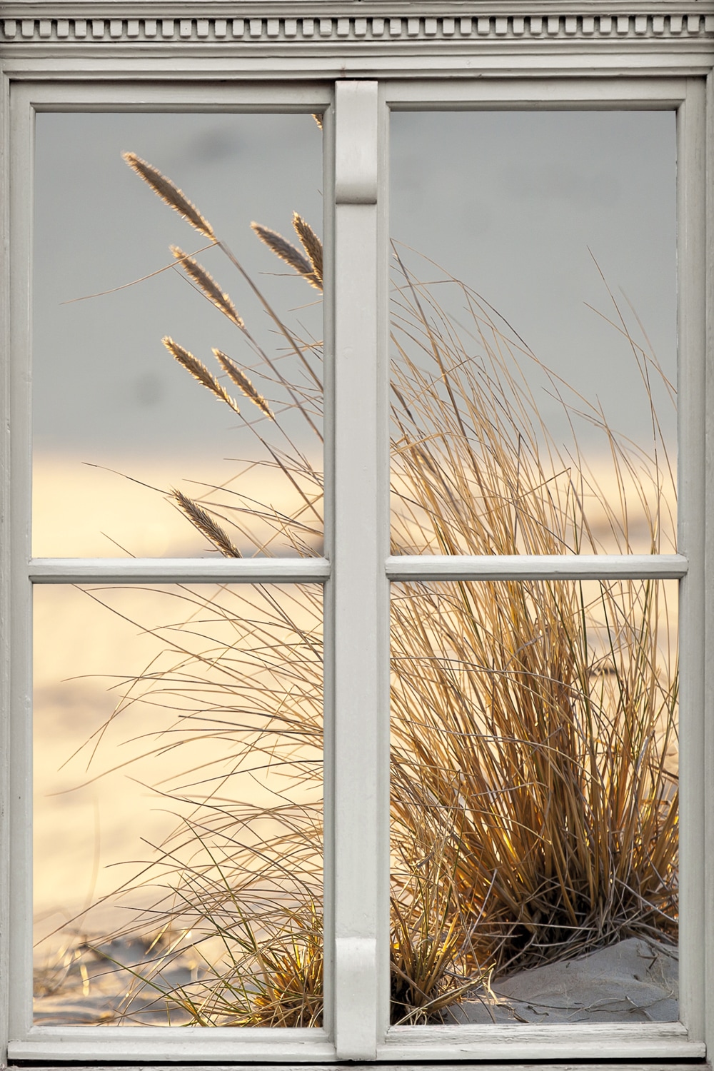 Image of queence Leinwandbild "Düne" Düne Fensterblick Gräser Natur 1 Stk. tlg. Premium-Leinwandstoff