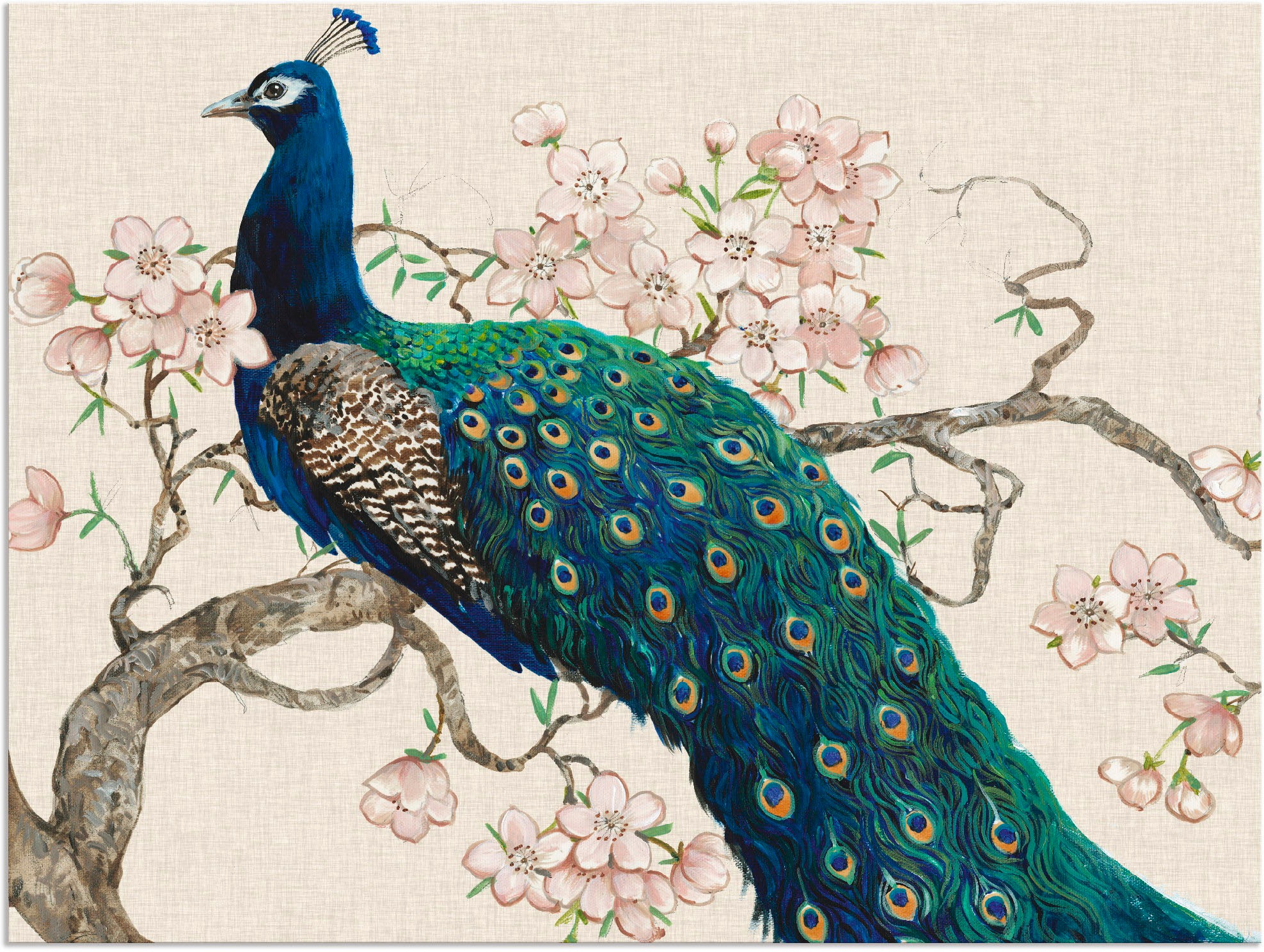 Image of Artland Wandbild »Pfau & Blüten II«, Vögel, (1 St.), in vielen Grössen & Produktarten - Alubild / Outdoorbild für den Aussenbereich, Leinwandbild, Poster, Wandaufkleber / Wandtattoo auch für Badezimmer geeignet bei Ackermann Versand Schweiz