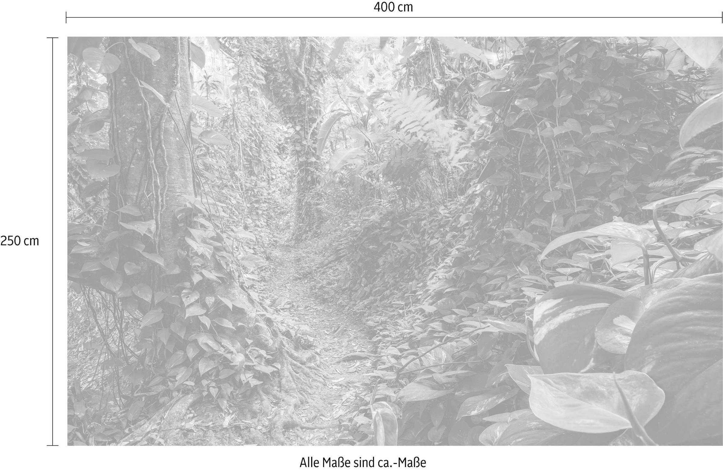 Komar Vliestapete »Path of Dreams«, 400x250 cm (Breite x Höhe), Vliestapete, 100 cm Bahnbreite