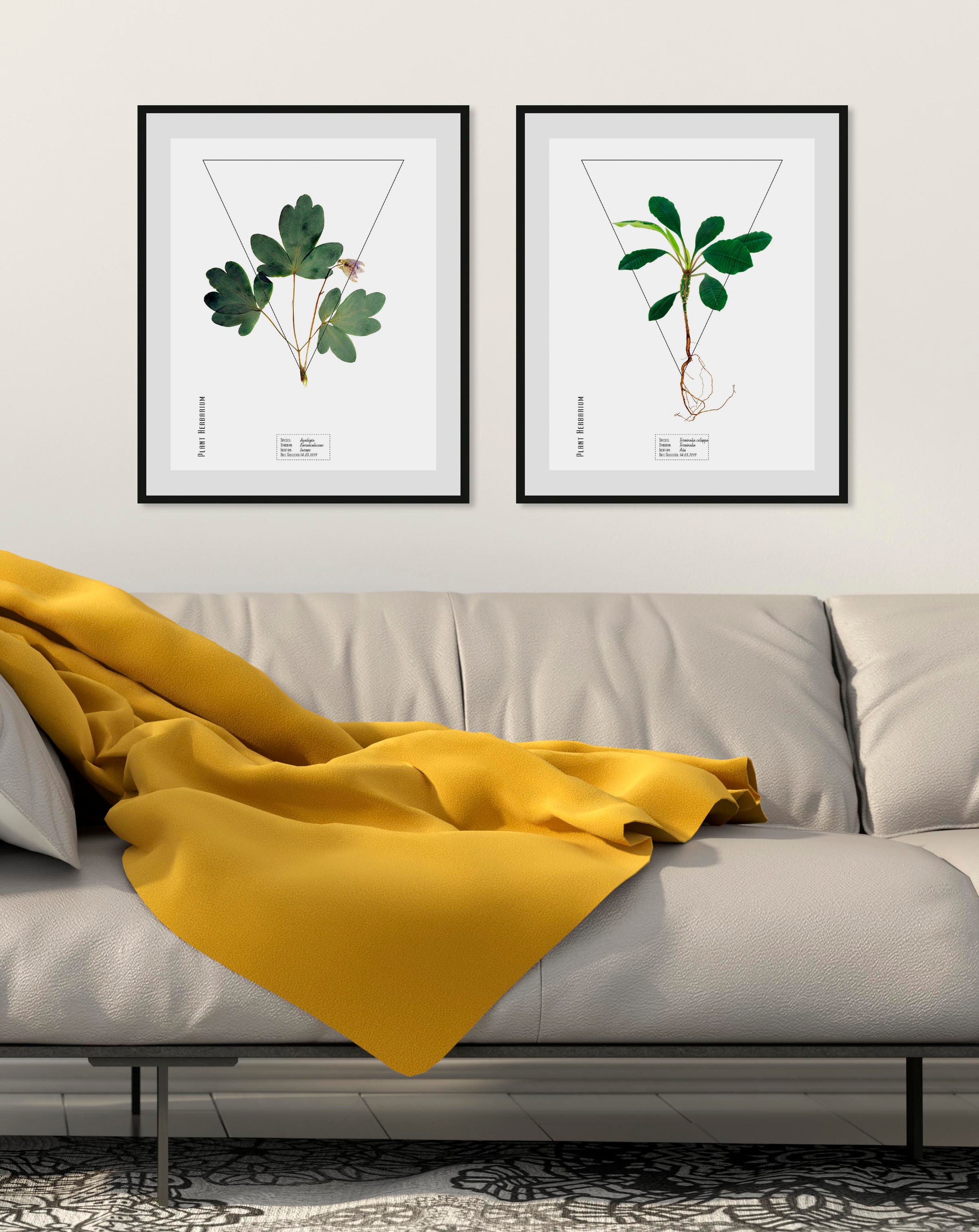 Image of queence Bild "Aquilegia" Pflanzen Pflanzenbilder Schriftzüge 1 Stk. tlg. HD Premium Poster-Druck inkl. Holzrahmen