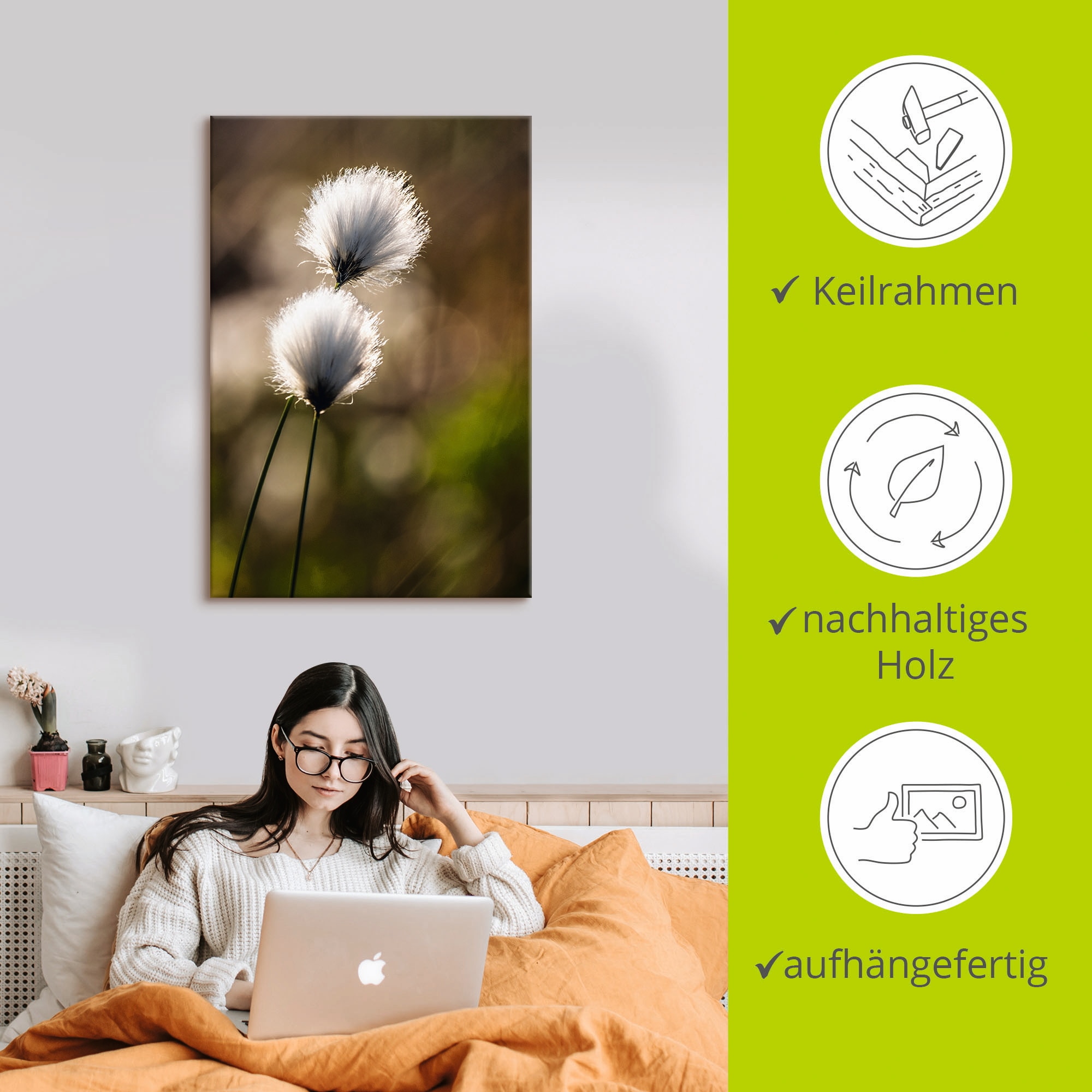 Artland Wandbild »Wollgras I«, Gräser, (1 St.), als Alubild, Outdoorbild, Leinwandbild, Poster in verschied. Grössen