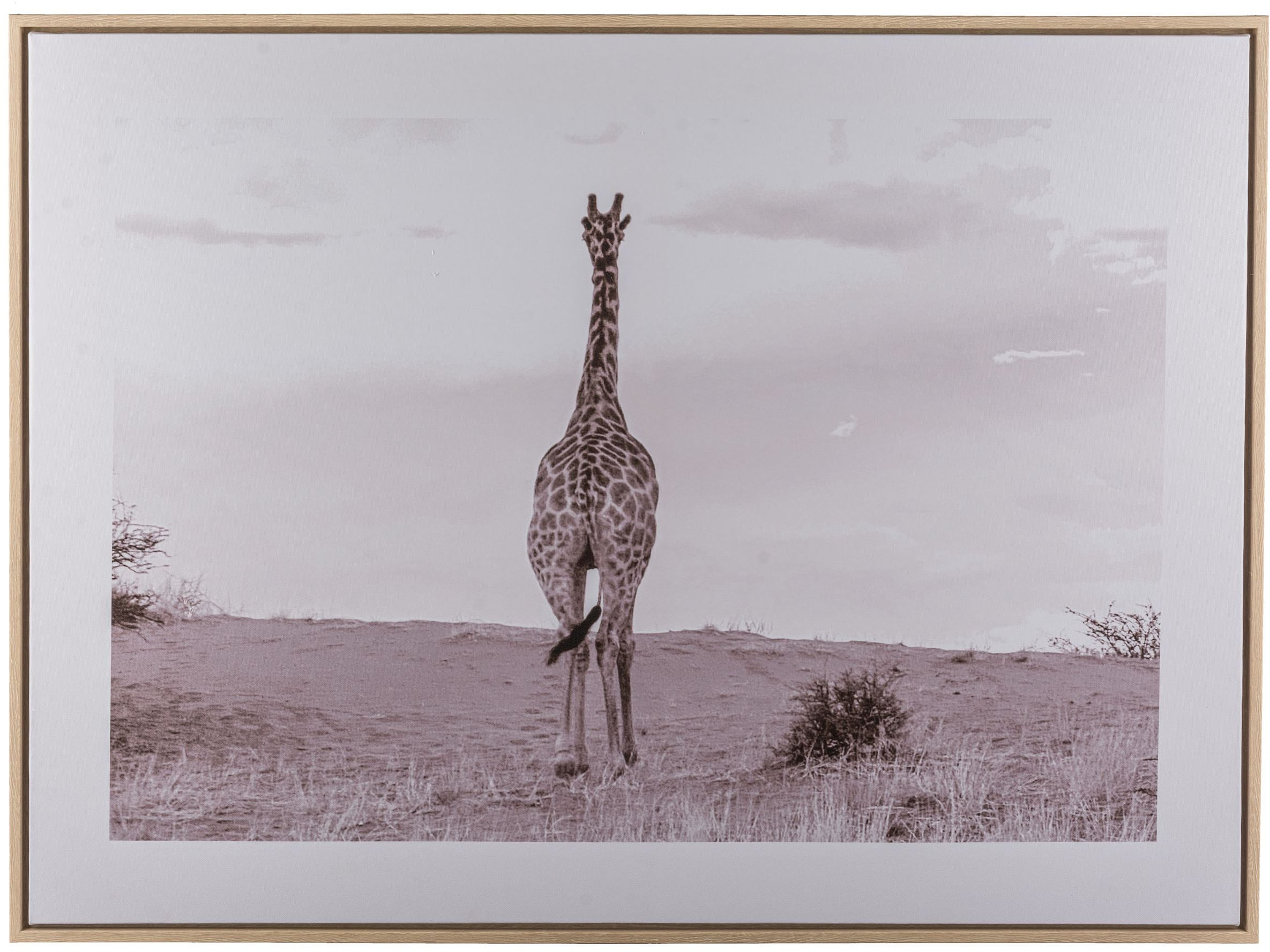 Image of Creativ home Bild mit Rahmen "Giraffe" 1 Stk. tlg. mit schwarz-weissem Motiv