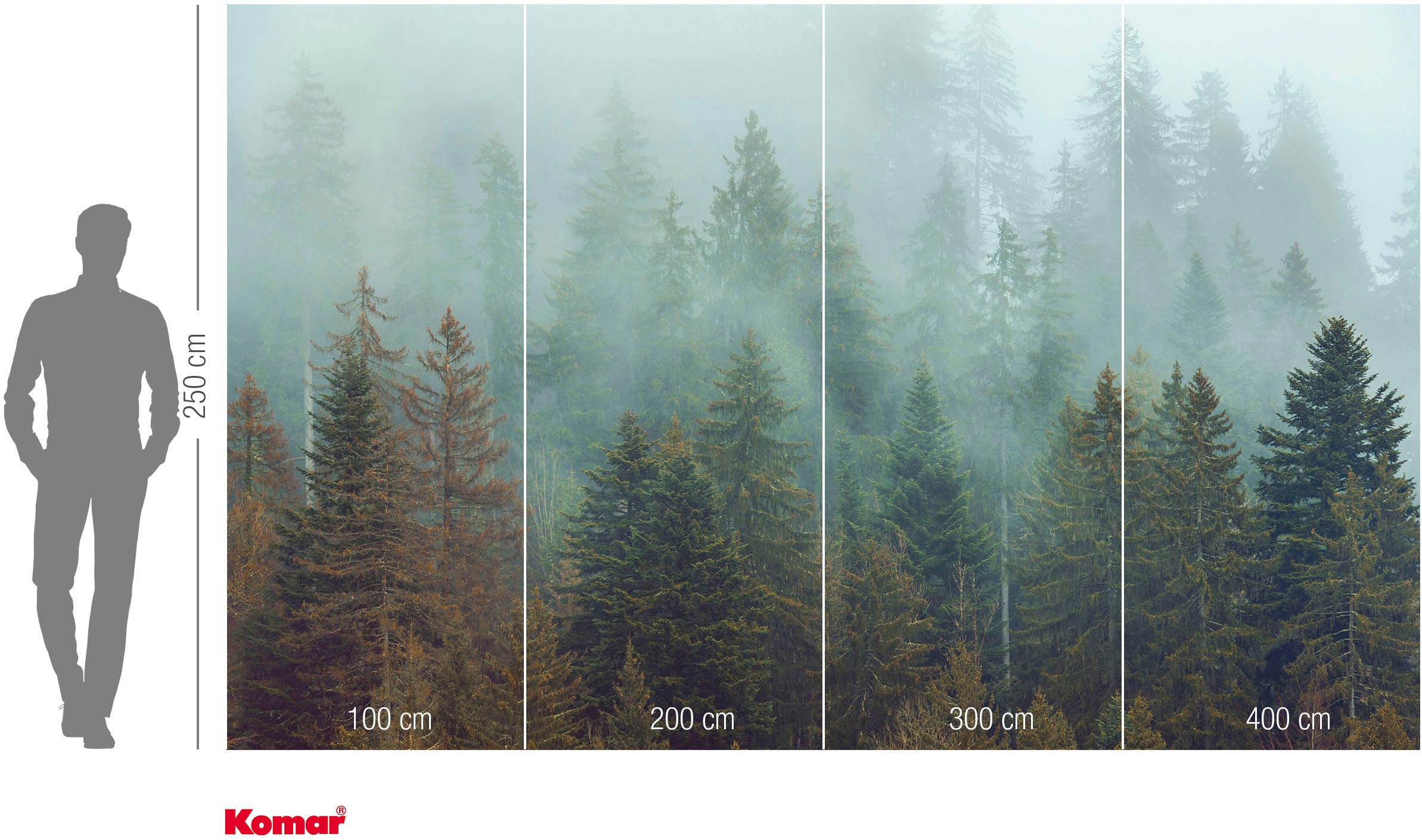 Komar Fototapete »Vlies Fototapete - Foggy Firs - Grösse 400 x 250 cm« Motiv | bedruckt glatt