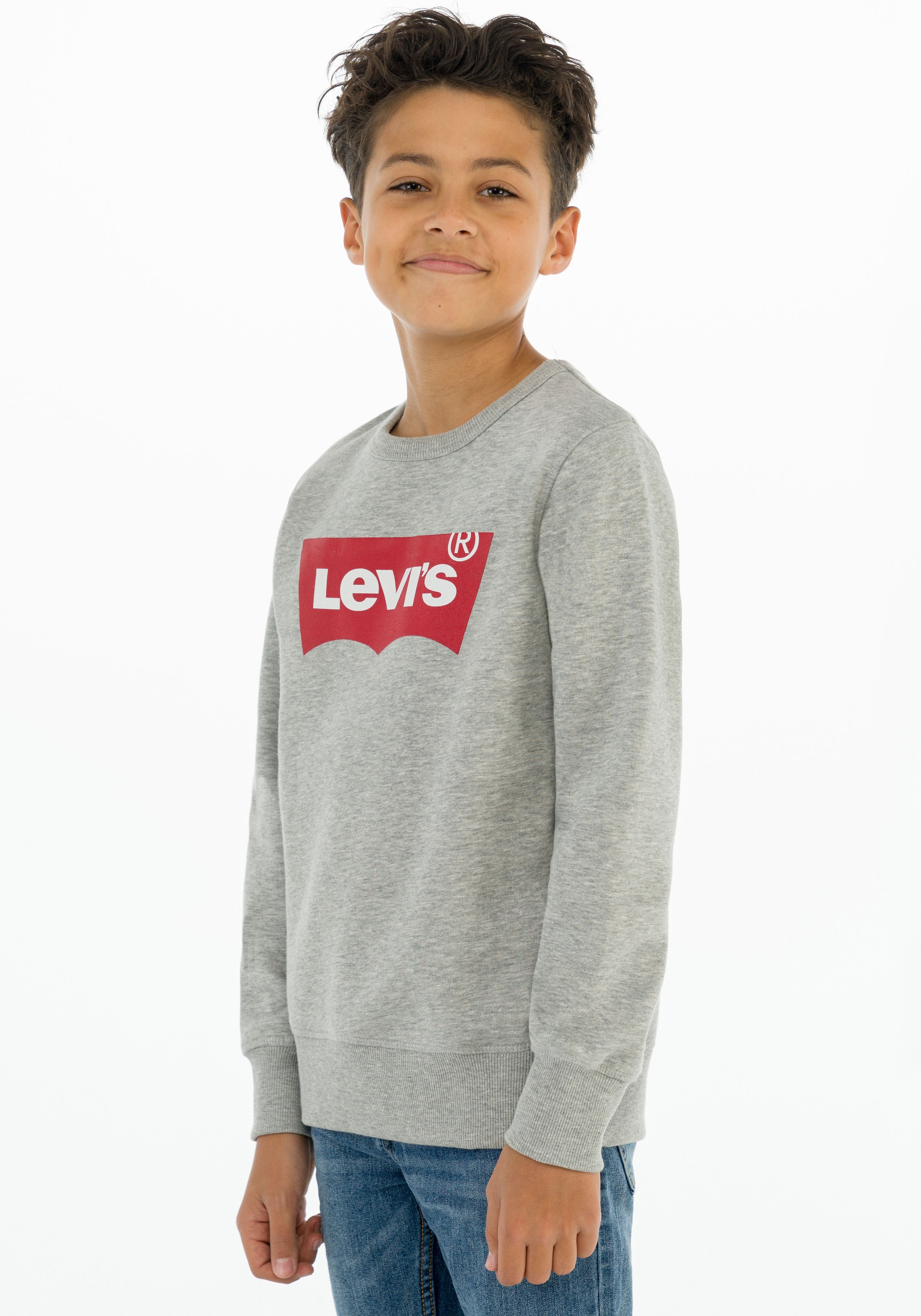 Levi's® Kids Sweatshirt »LVB LVB FRENCH TERRY BATWING«, mit grossem Logo