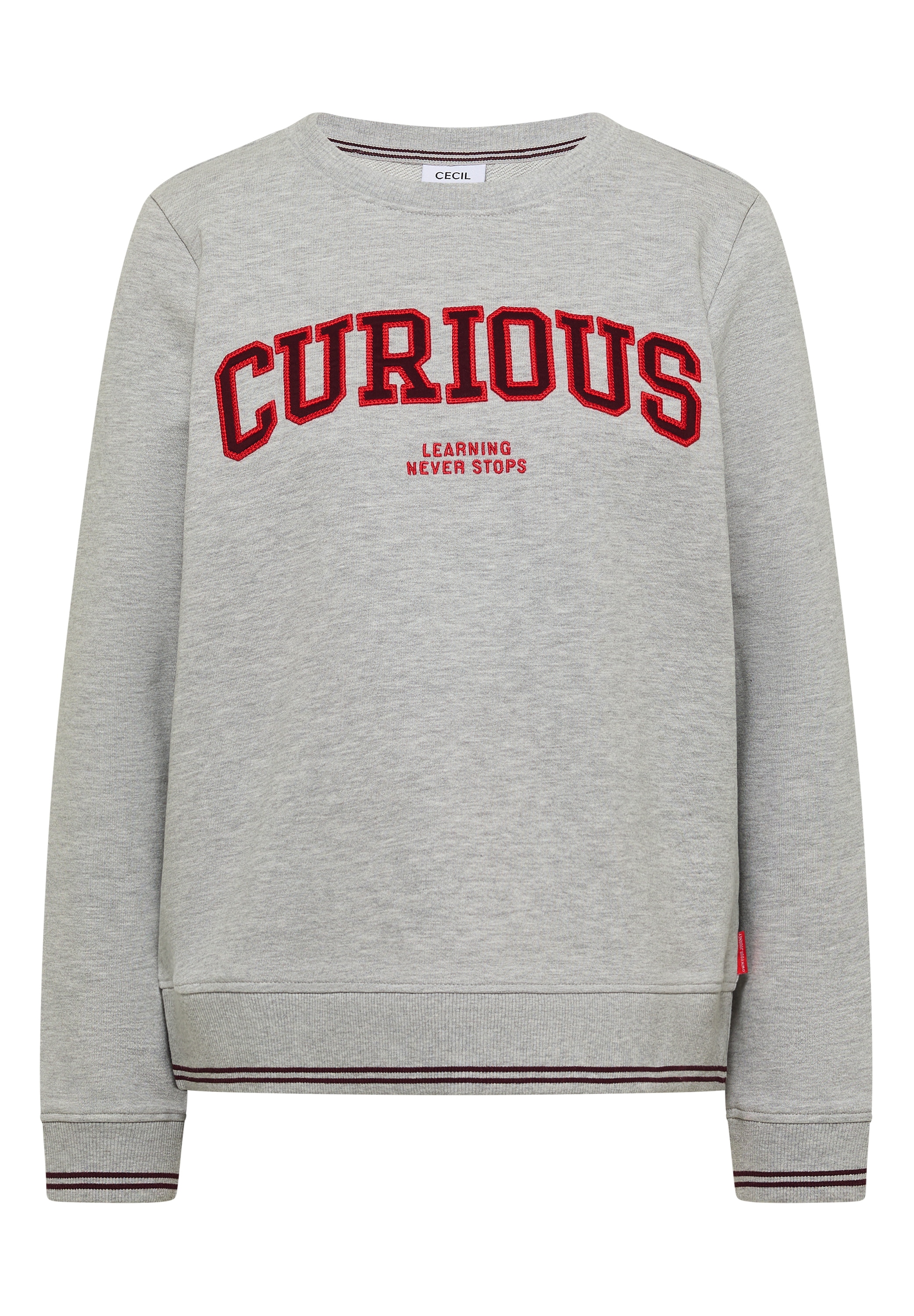Cecil Sweater , mit Rundhals und Stickerei
